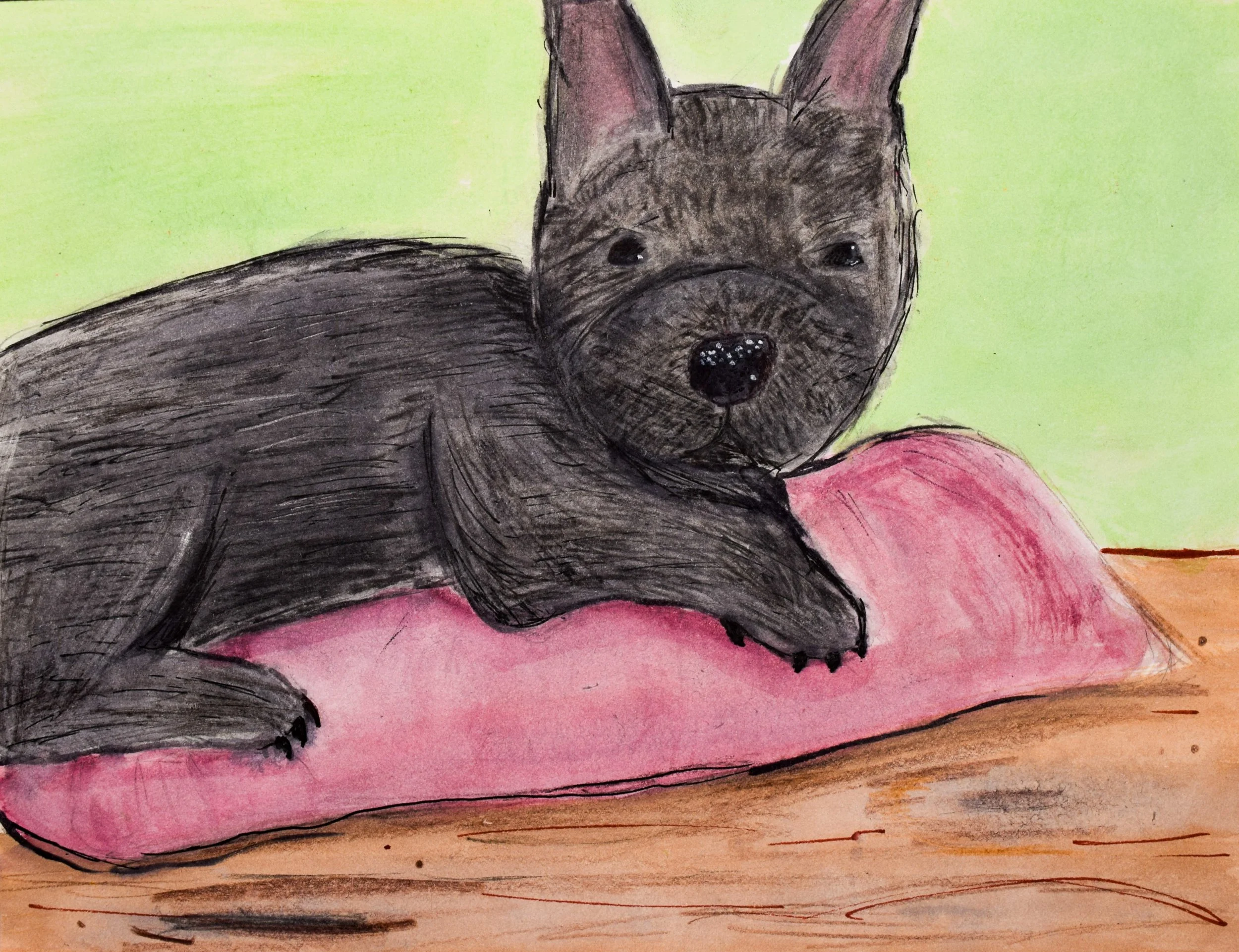 Kylie T Momenzadeh-2.jpg