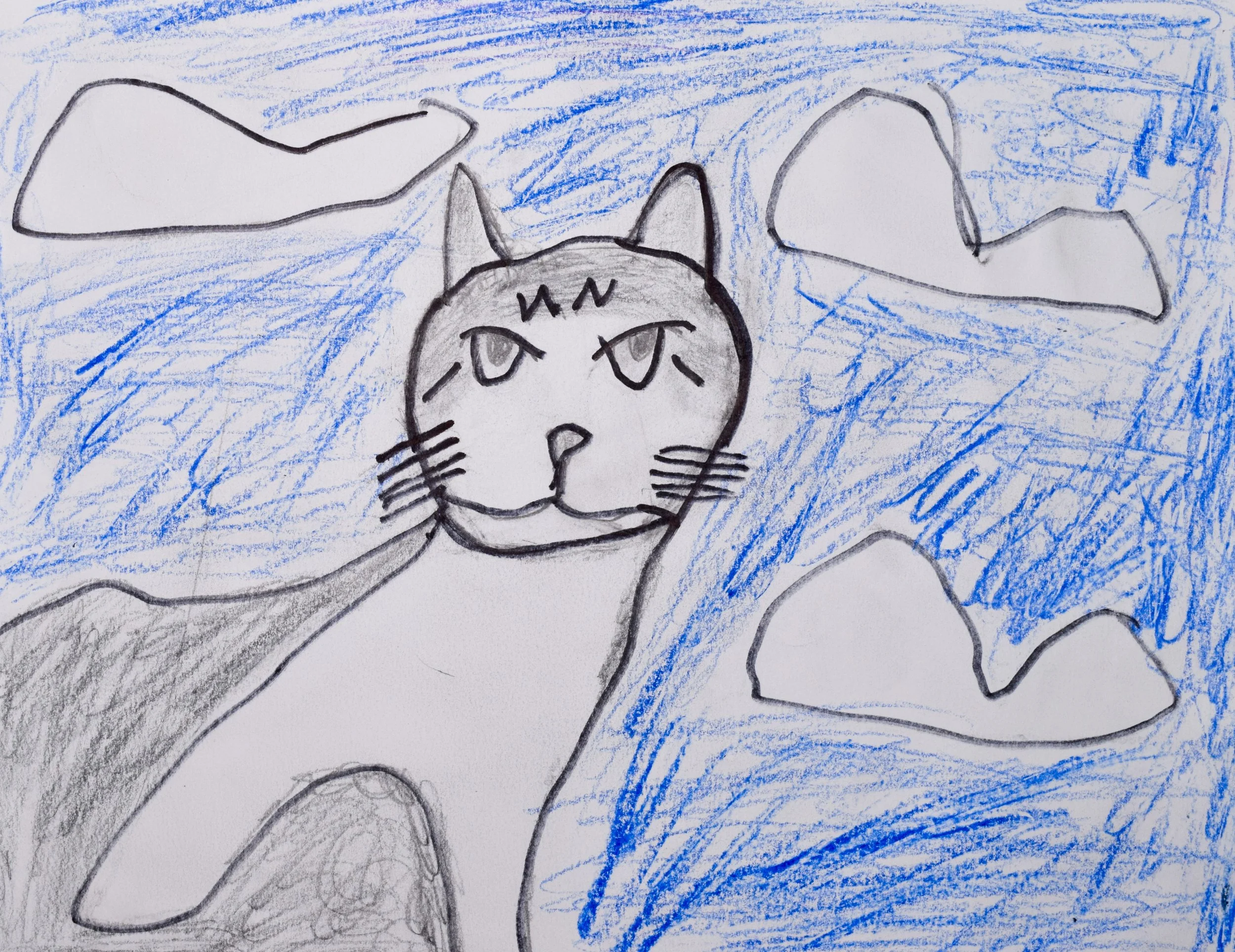 David H GRaham-2.jpg