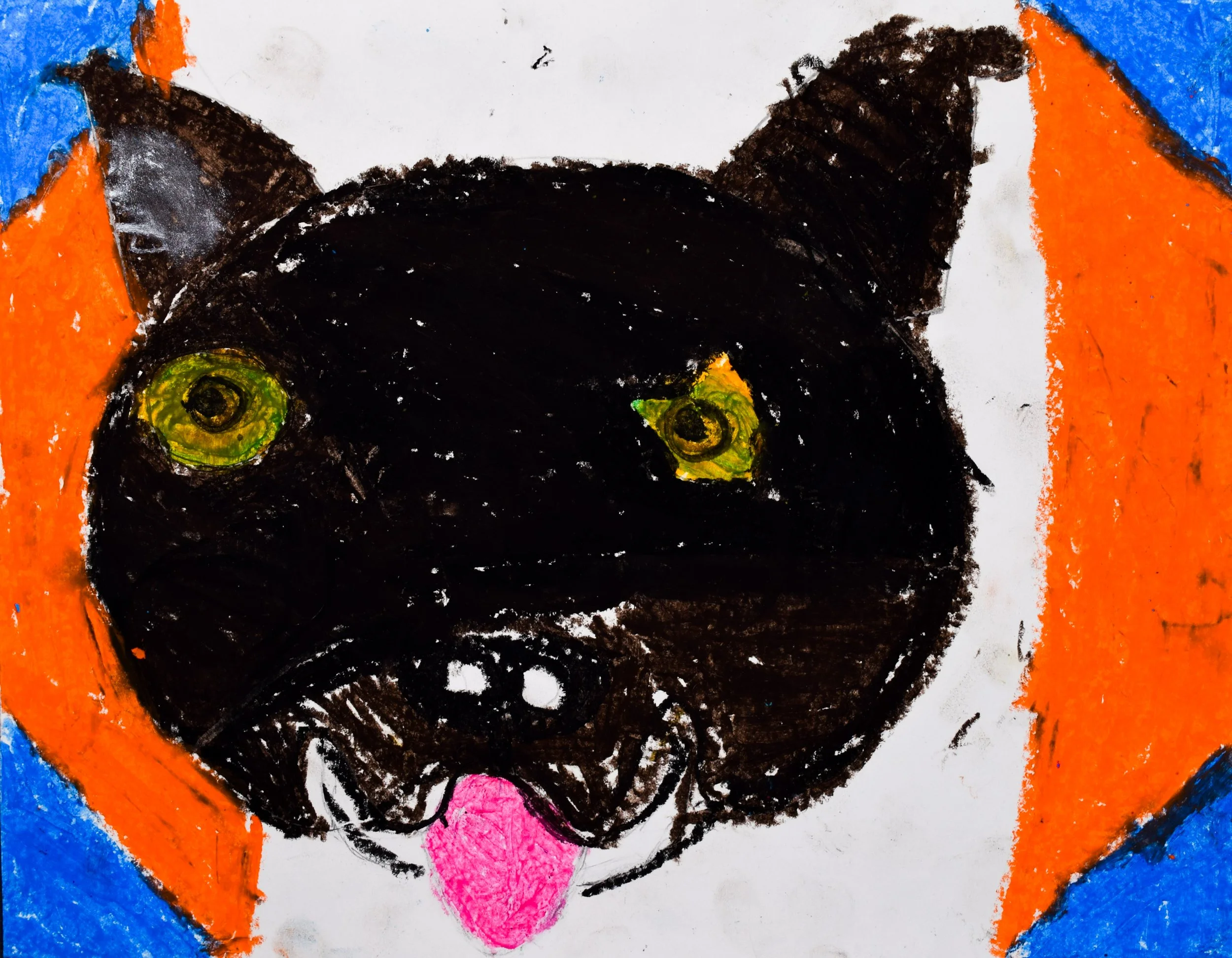 Ayansh C Boyle-2.jpg