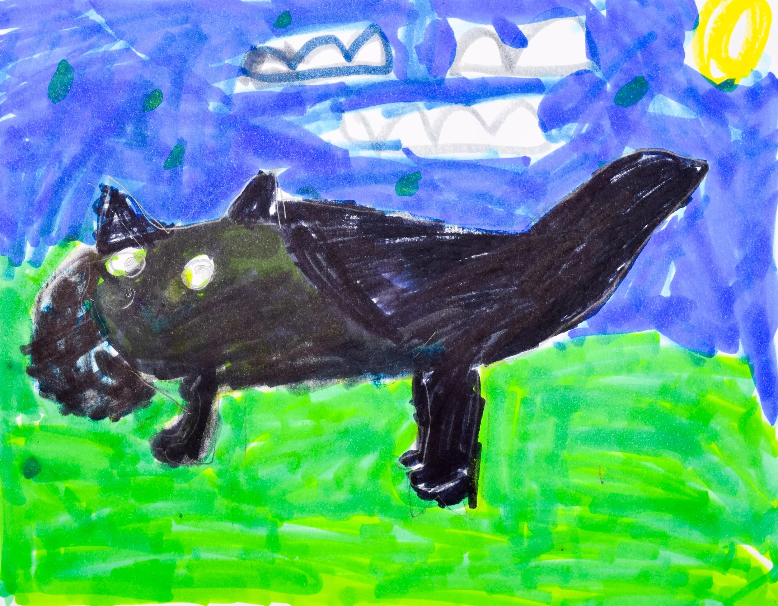 Arham M Nelson-Lewis, Pfaff-2.jpg