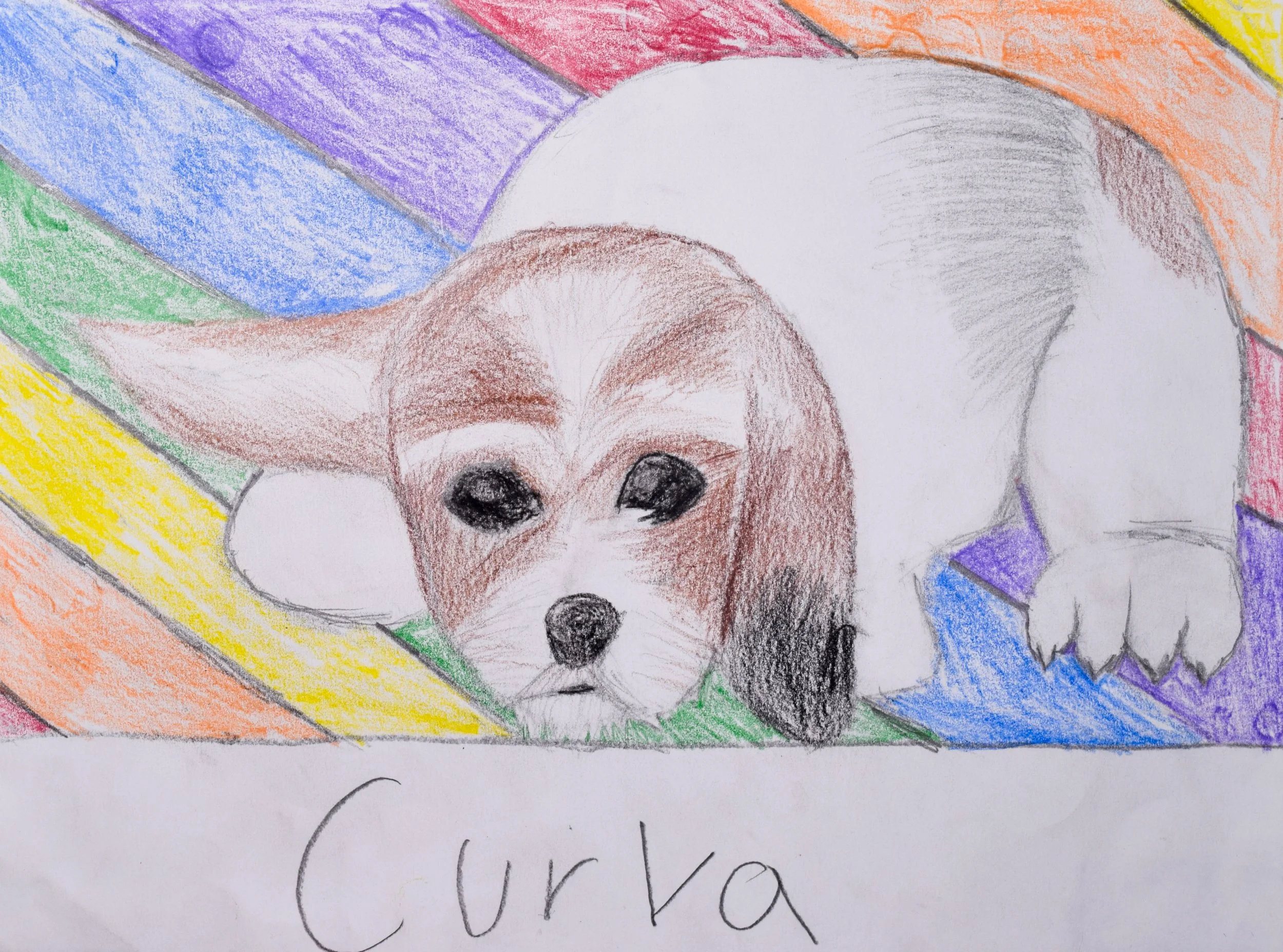 Rebekah C Graham-2.jpg