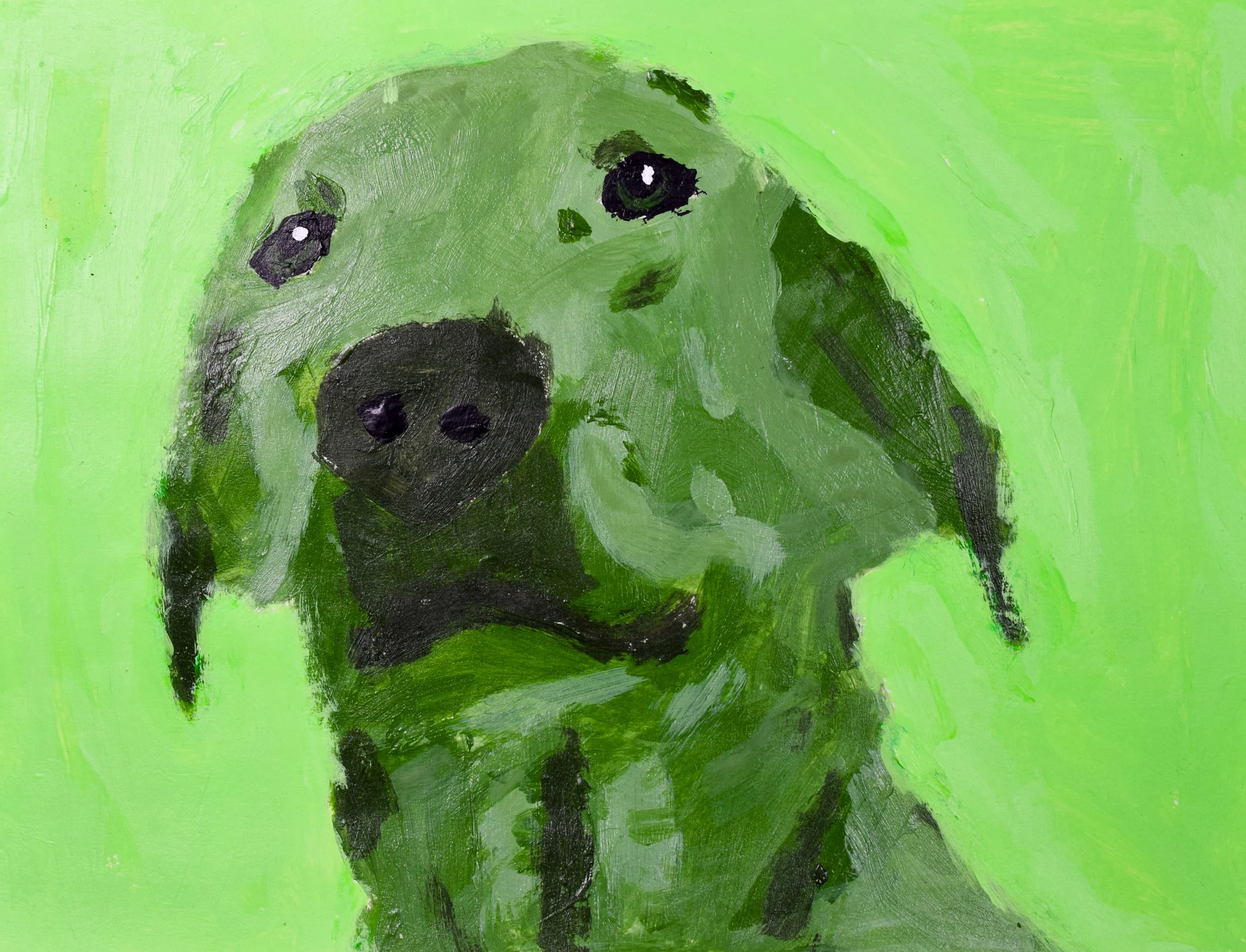 Ayden M Durante-2.jpg