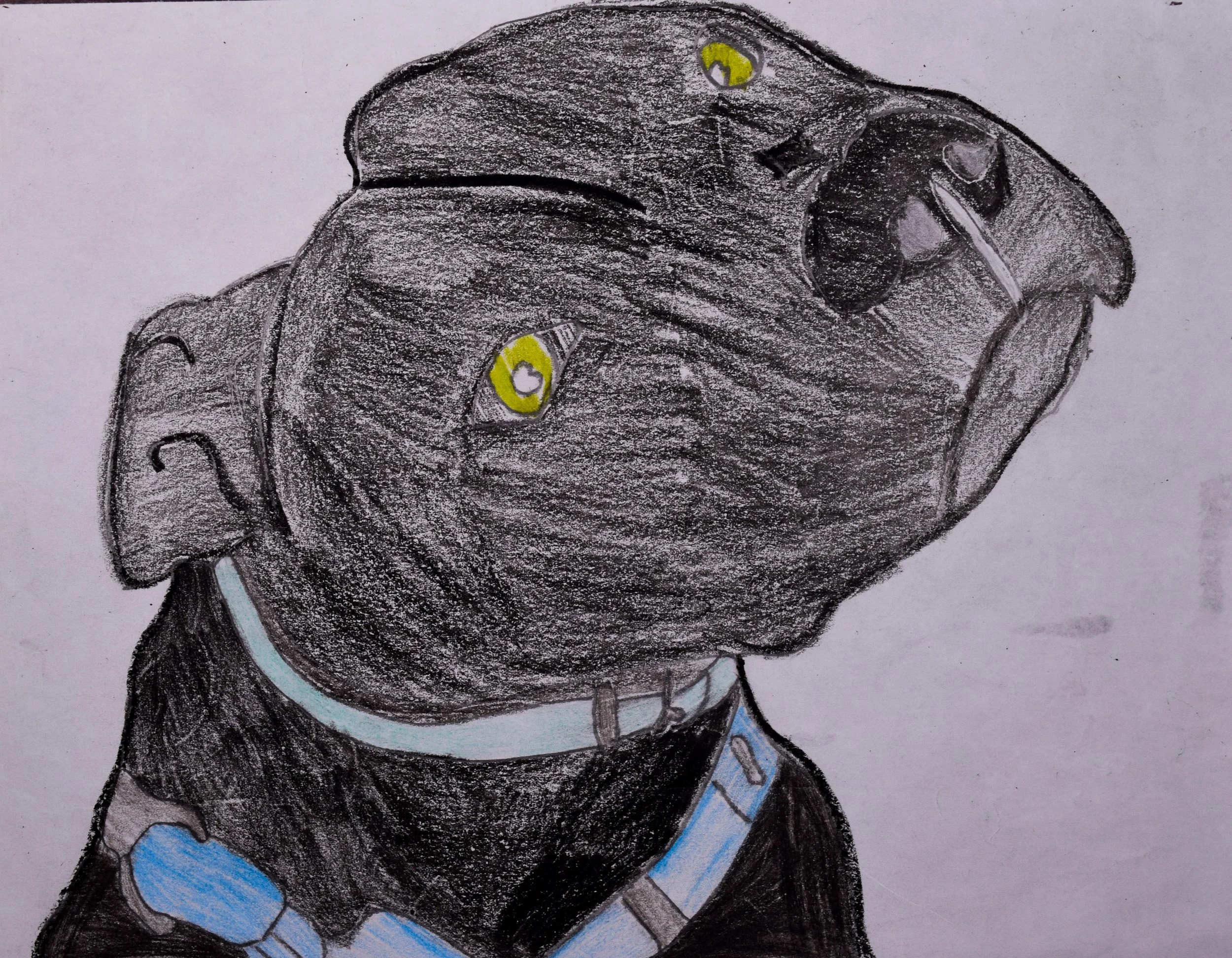 Massimo C Cathy-2.jpg