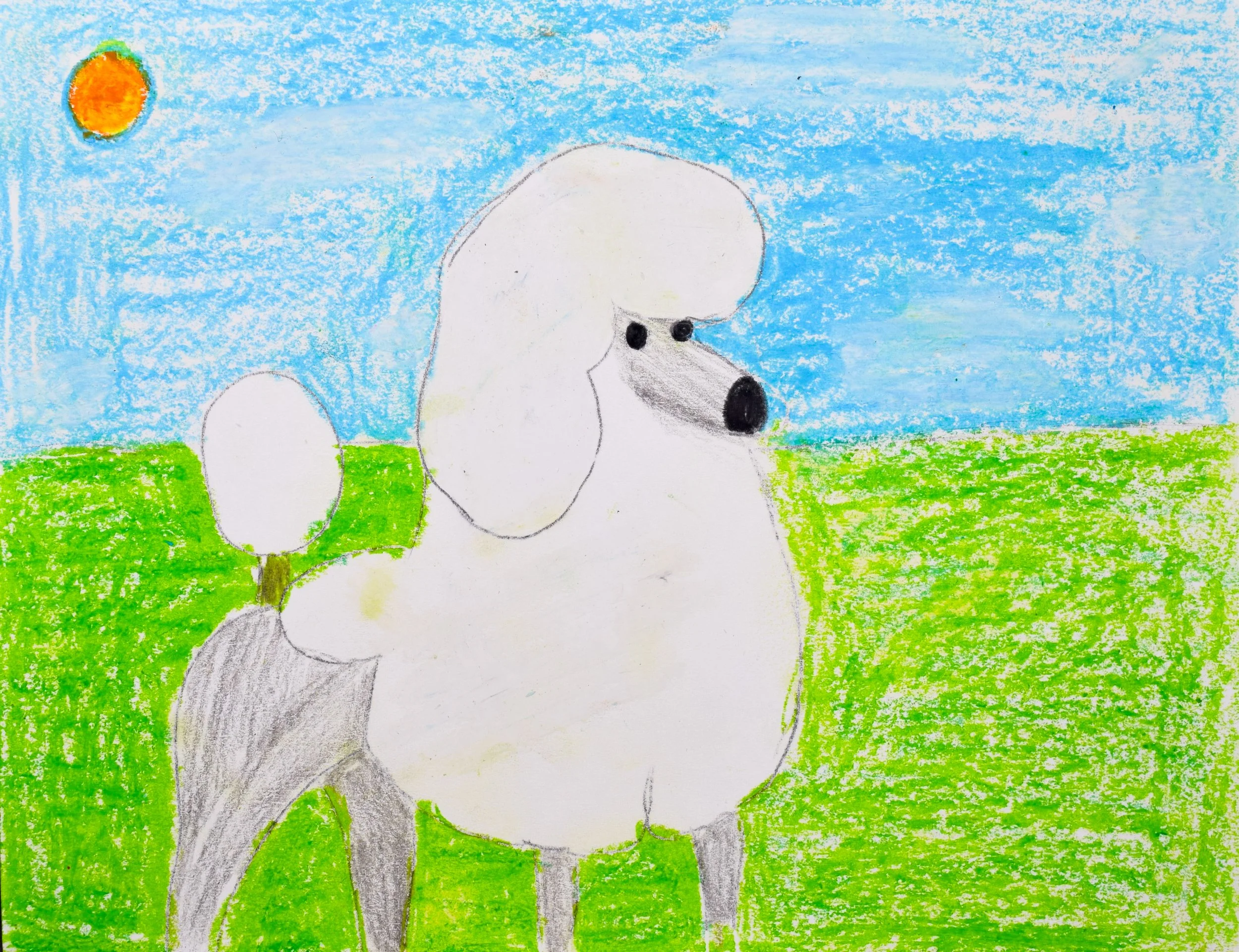 Aleen S Momenzadeh-2.jpg