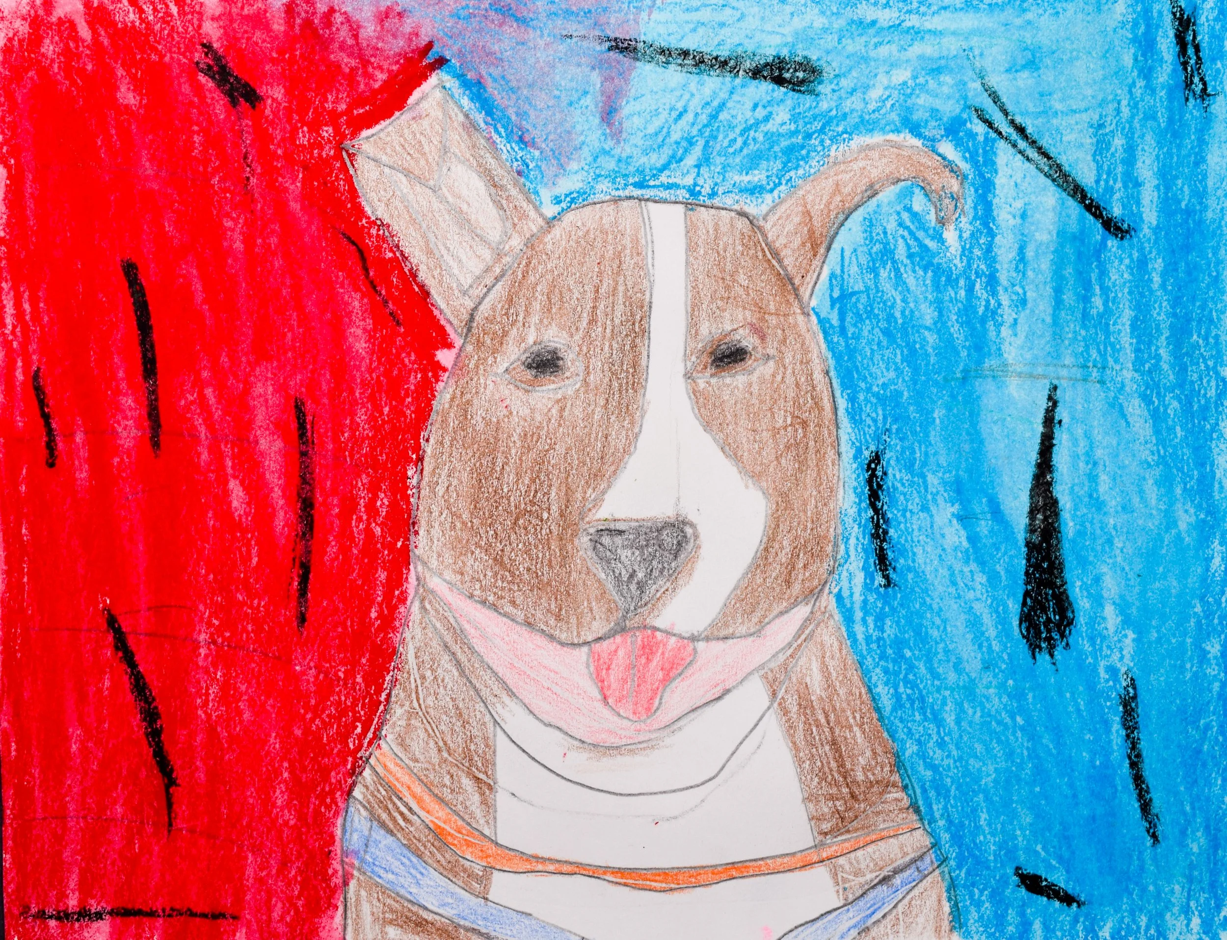 Matthew M Momenzadeh-2.jpg