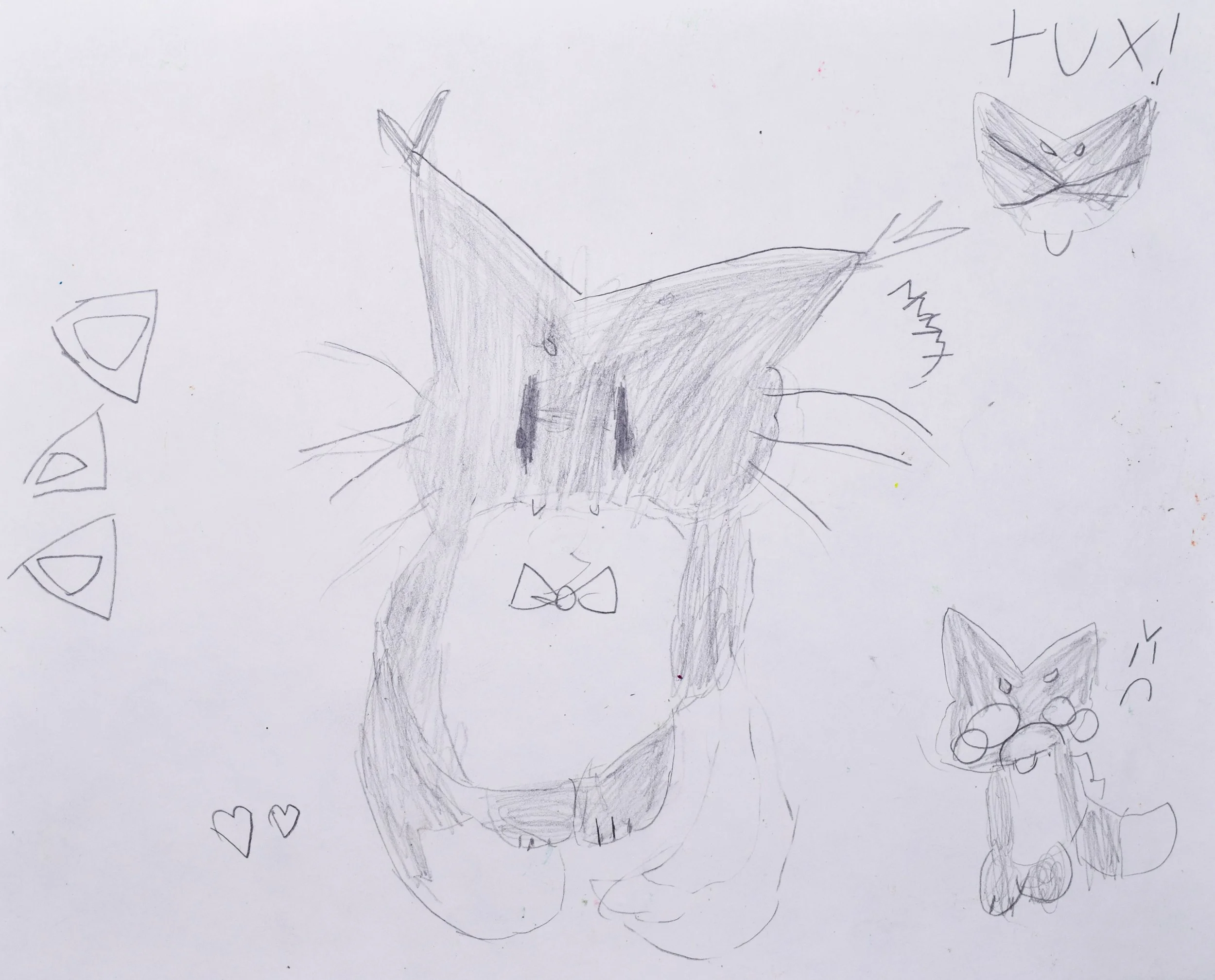 Serenity C Seyler-2.jpg