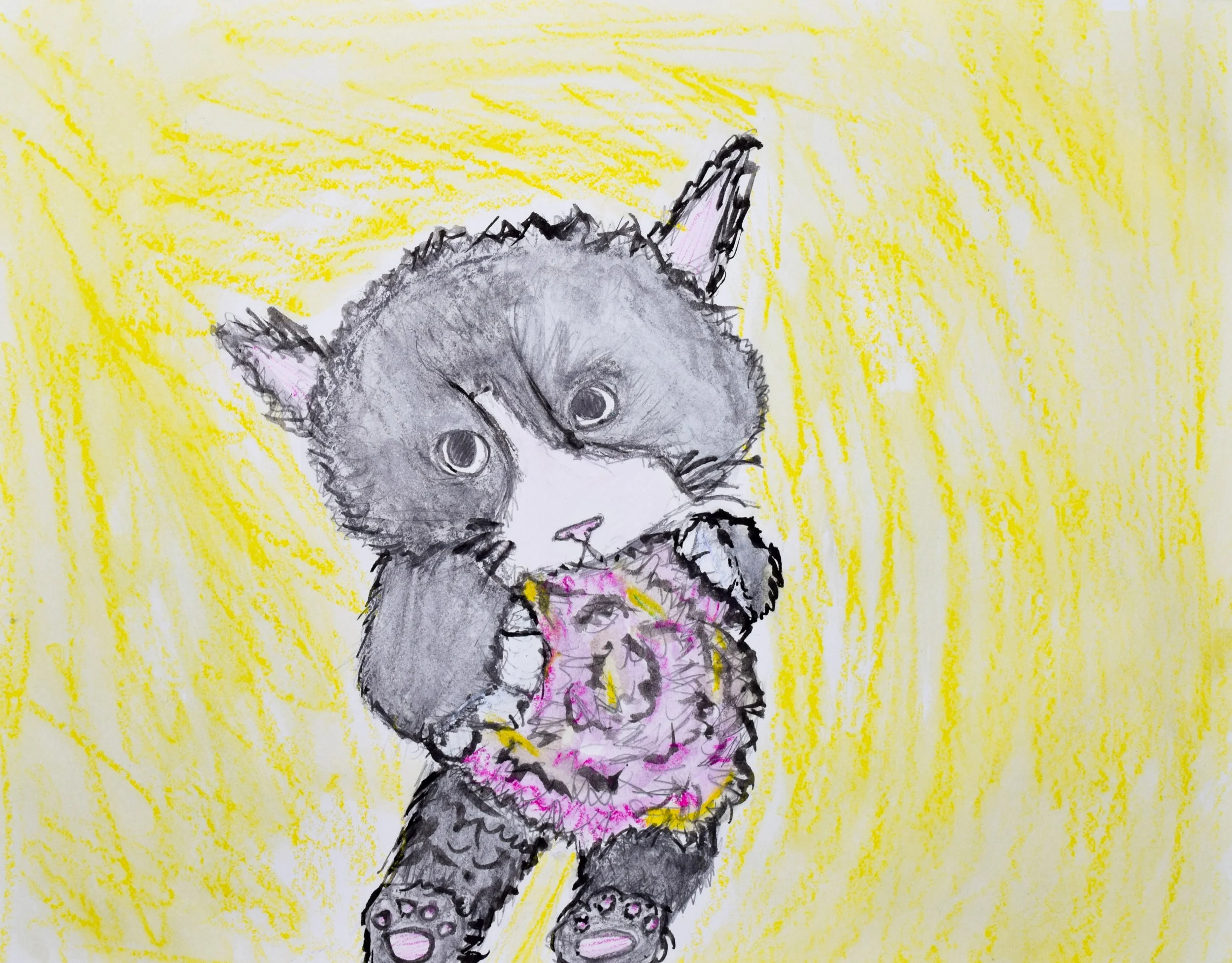 Mia M Momenzadeh-2.jpg