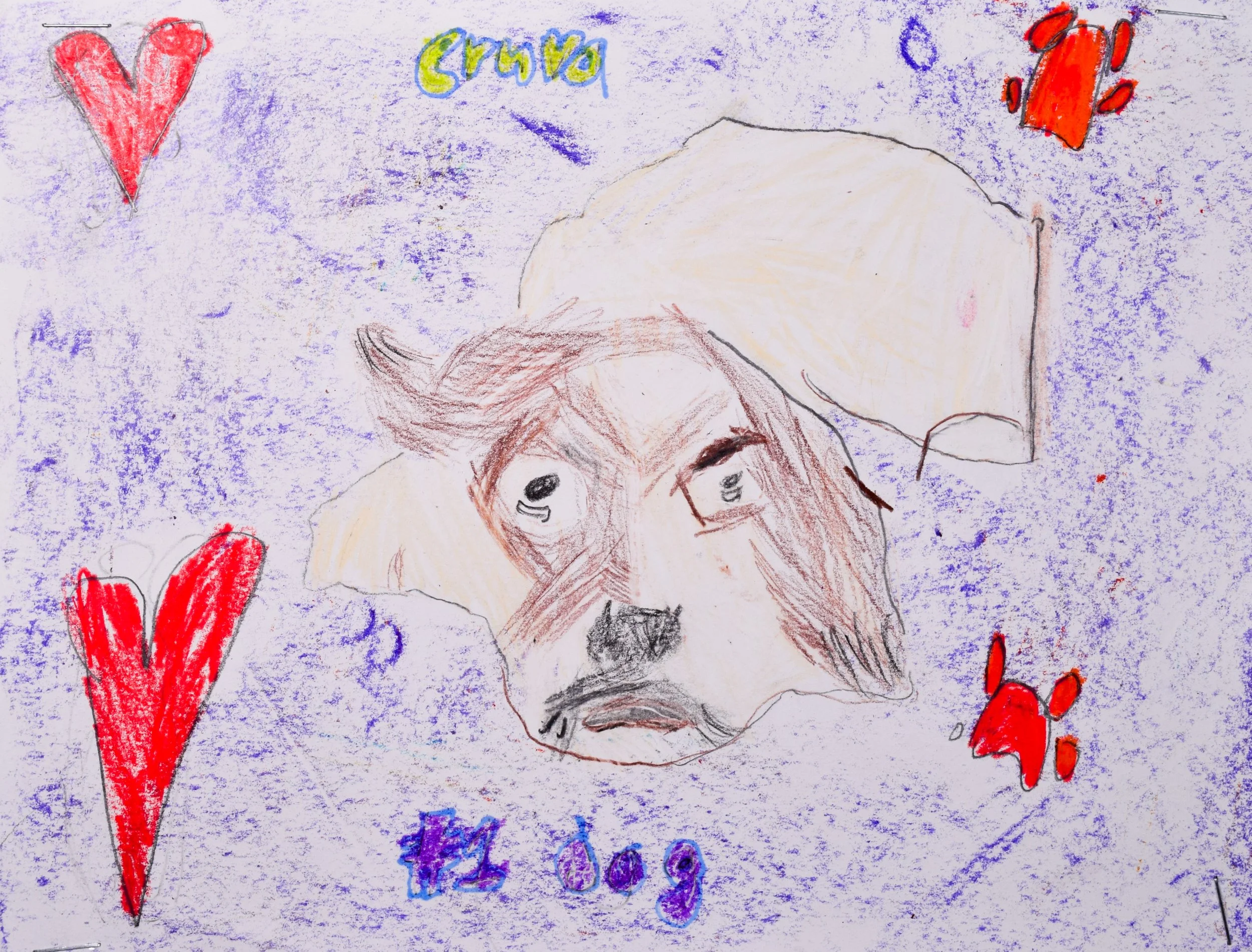 Lorelei C Robertson-2.jpg