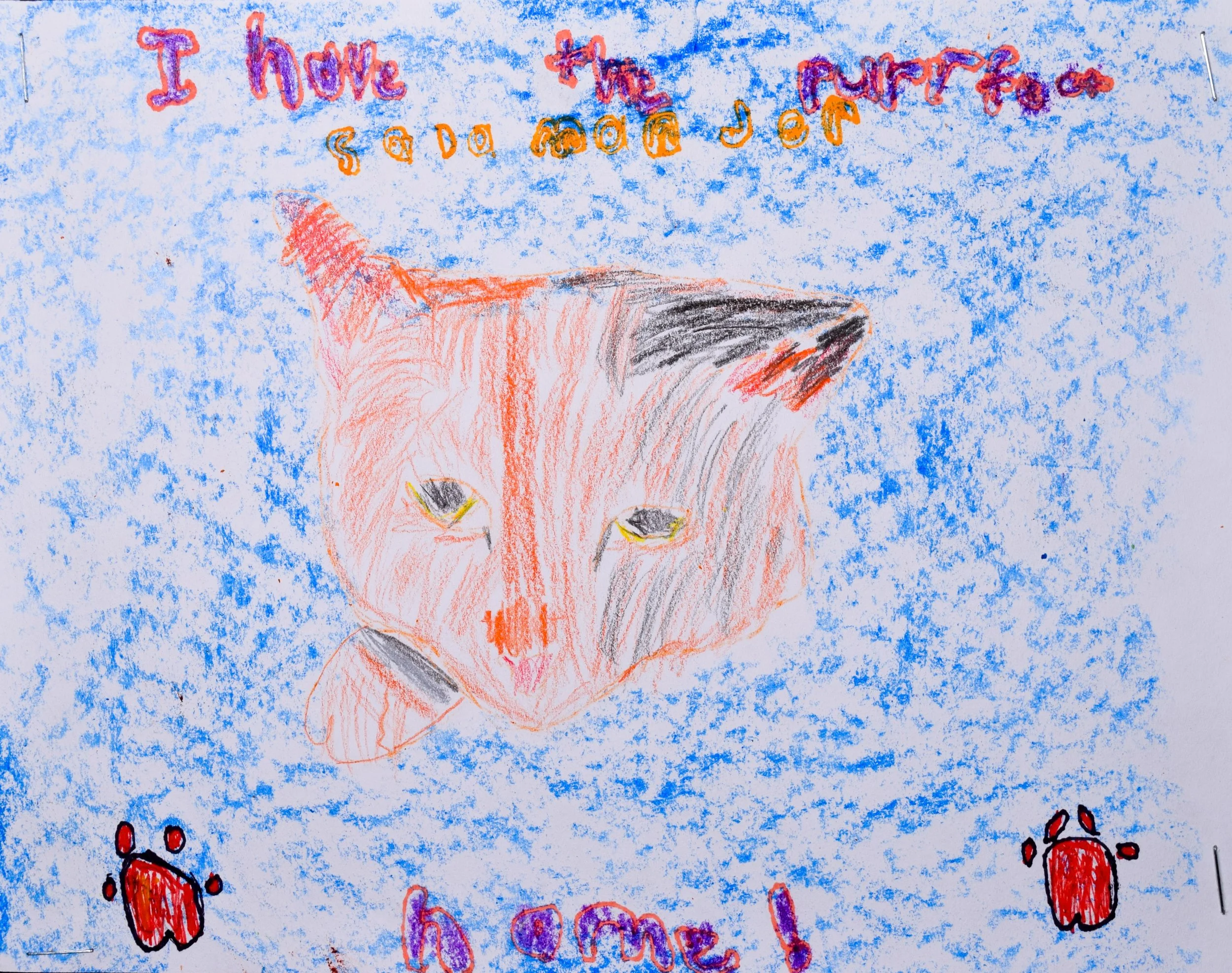 Owen N Robertson-2.jpg