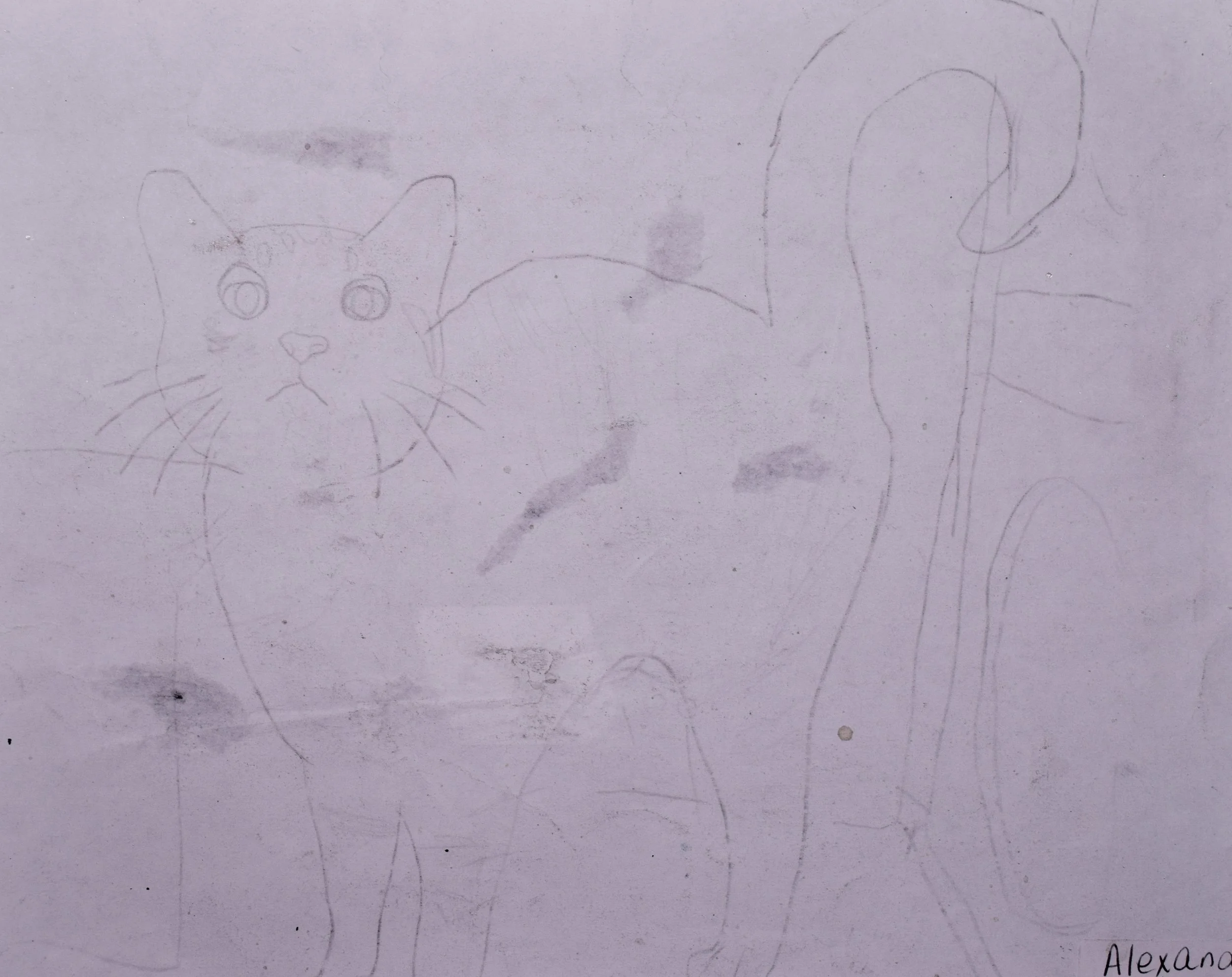 Alexander B 2 Cathy-2.jpg