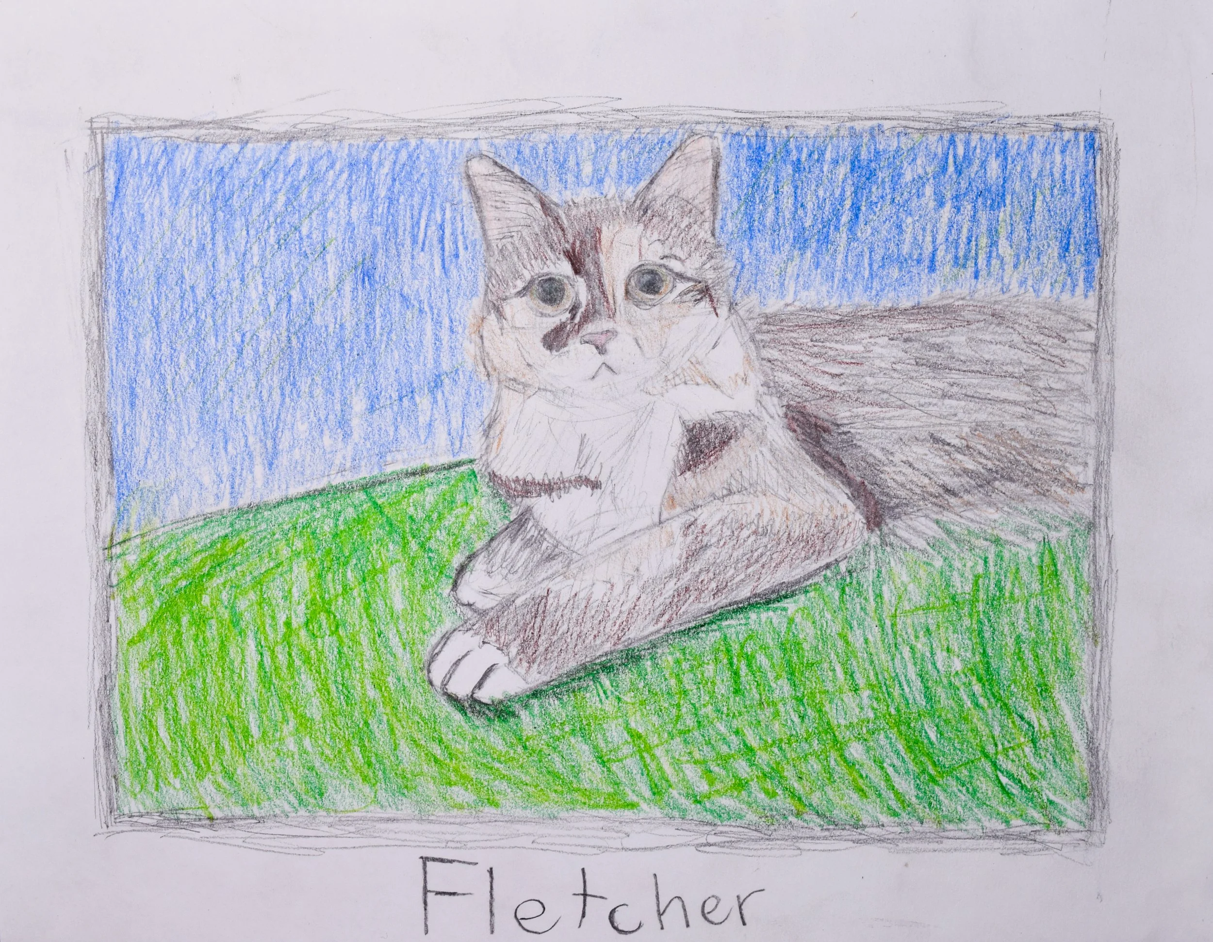 Natalie K Graham-2.jpg