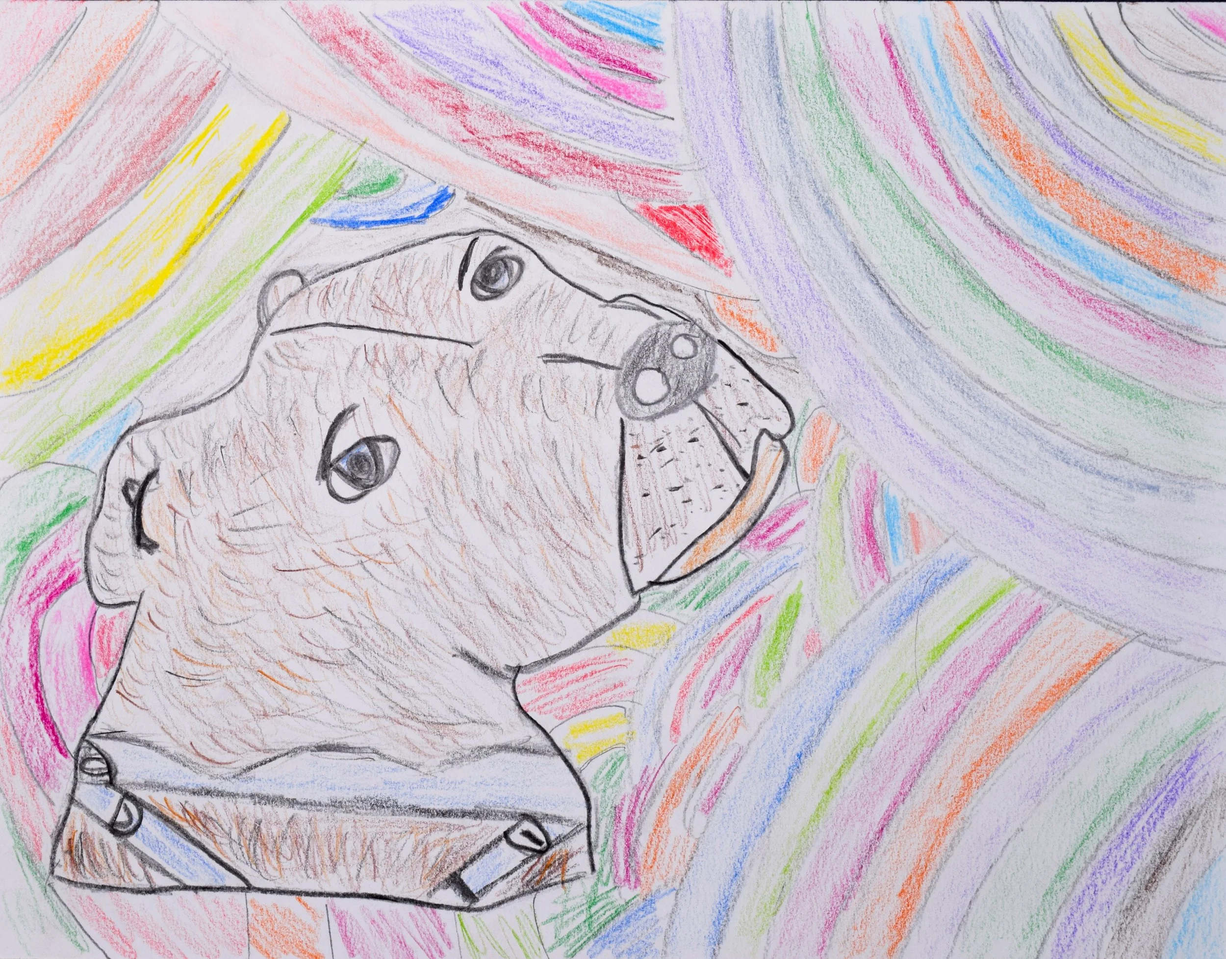 Alex L Liberto-2.jpg