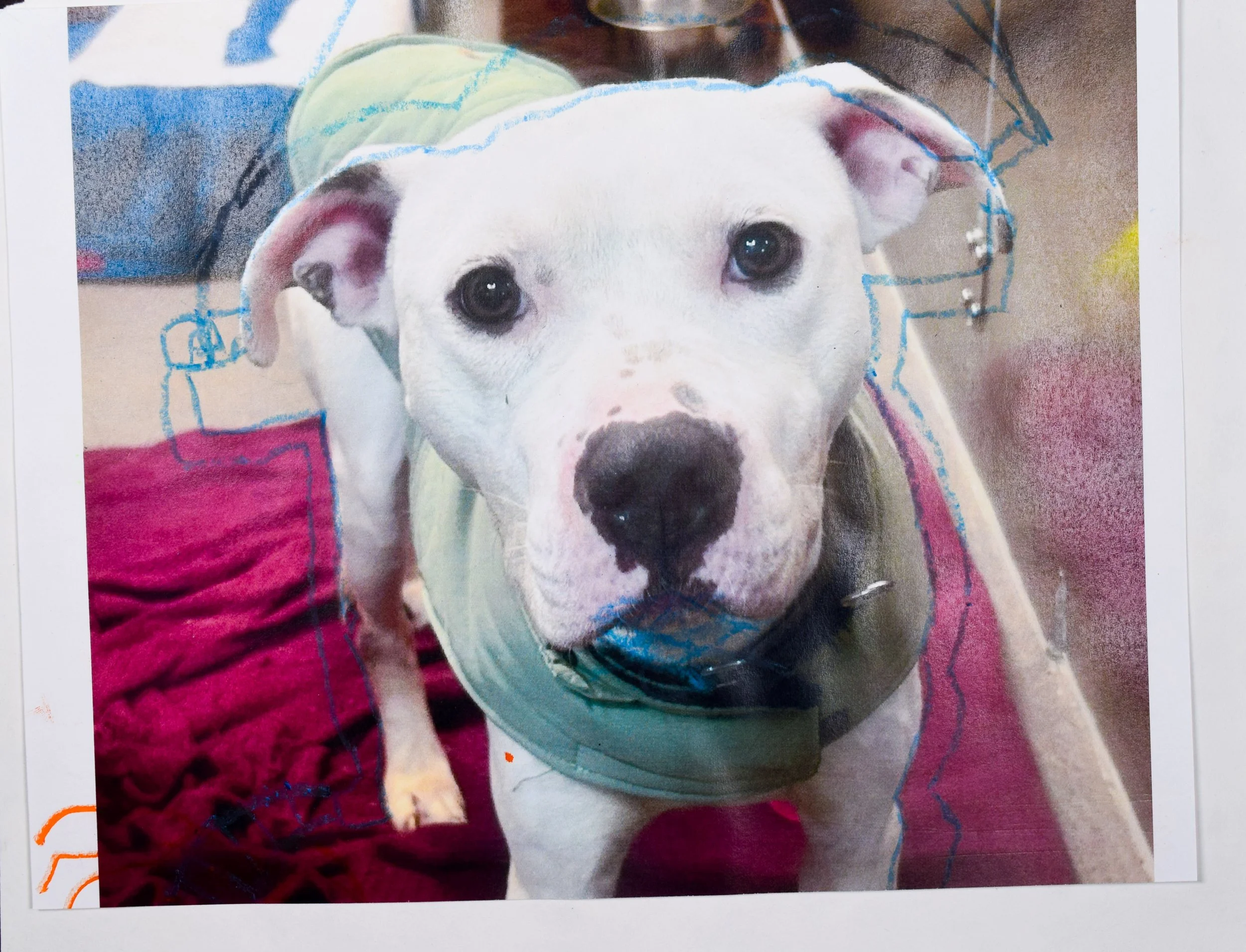 Clark F Seyler-2.jpg