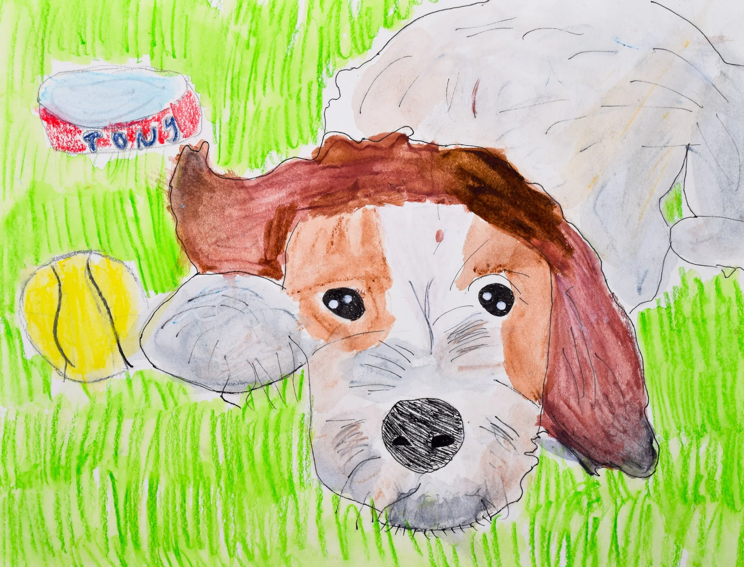 Elise N Leonard-2.jpg