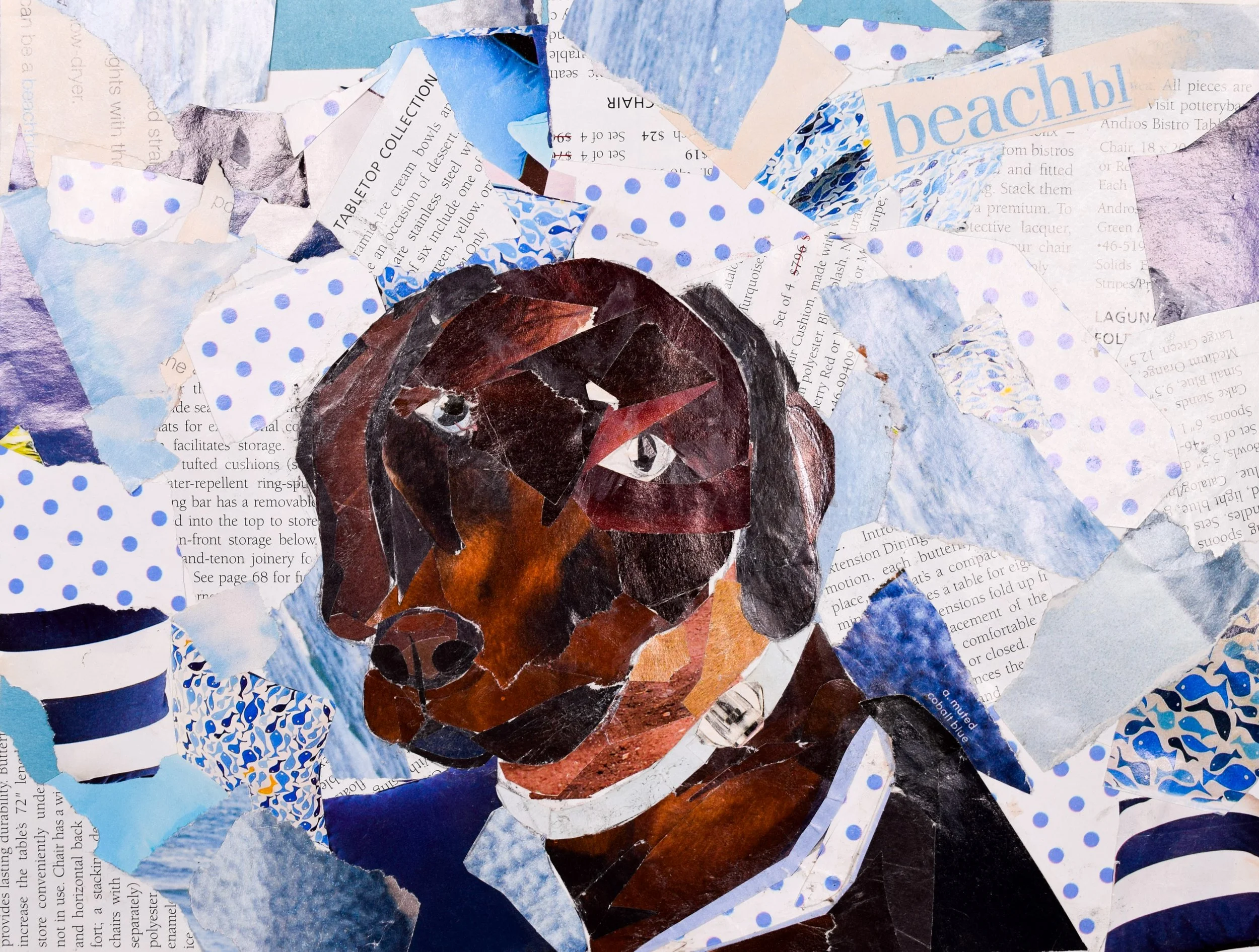 Lindsey S Schappel-2.jpg