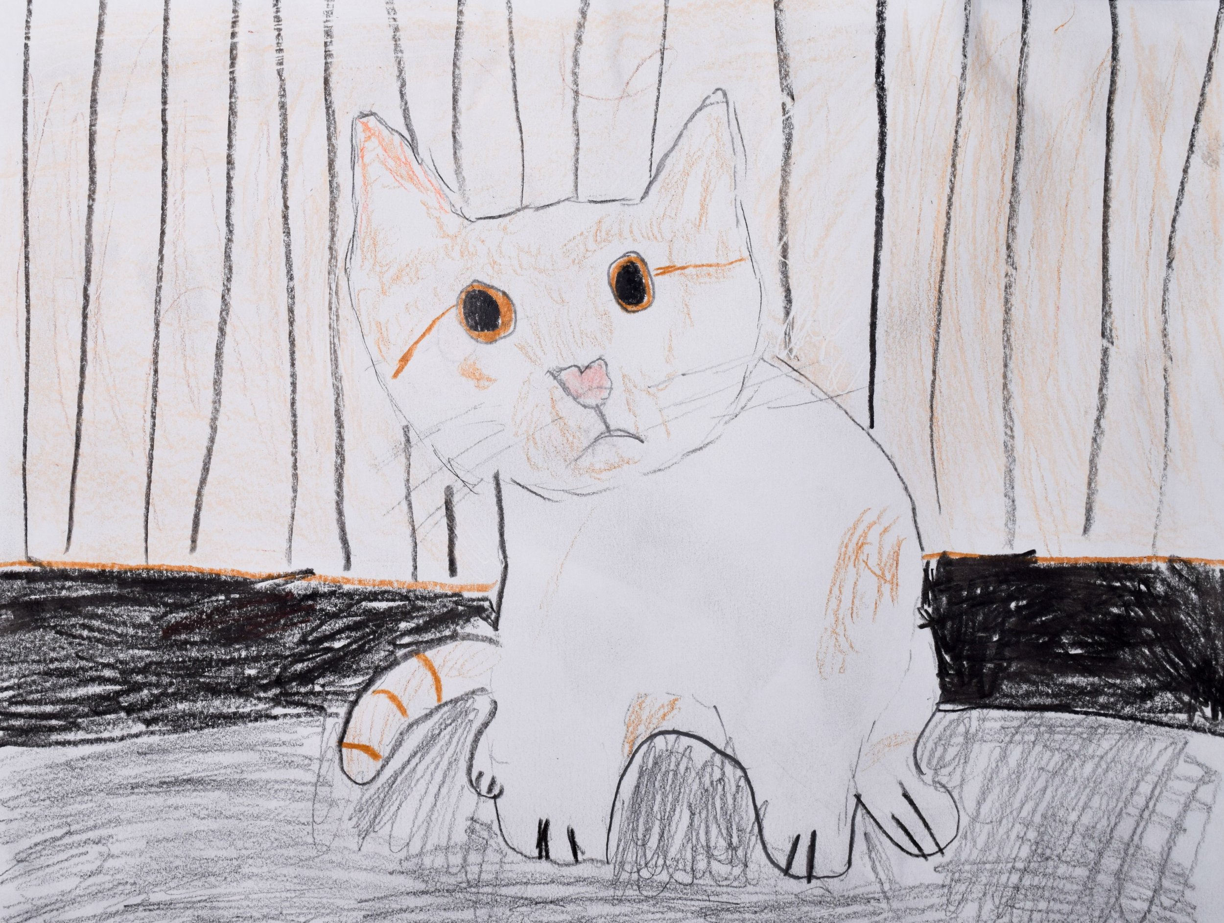 Jackson B Graham-2.jpg