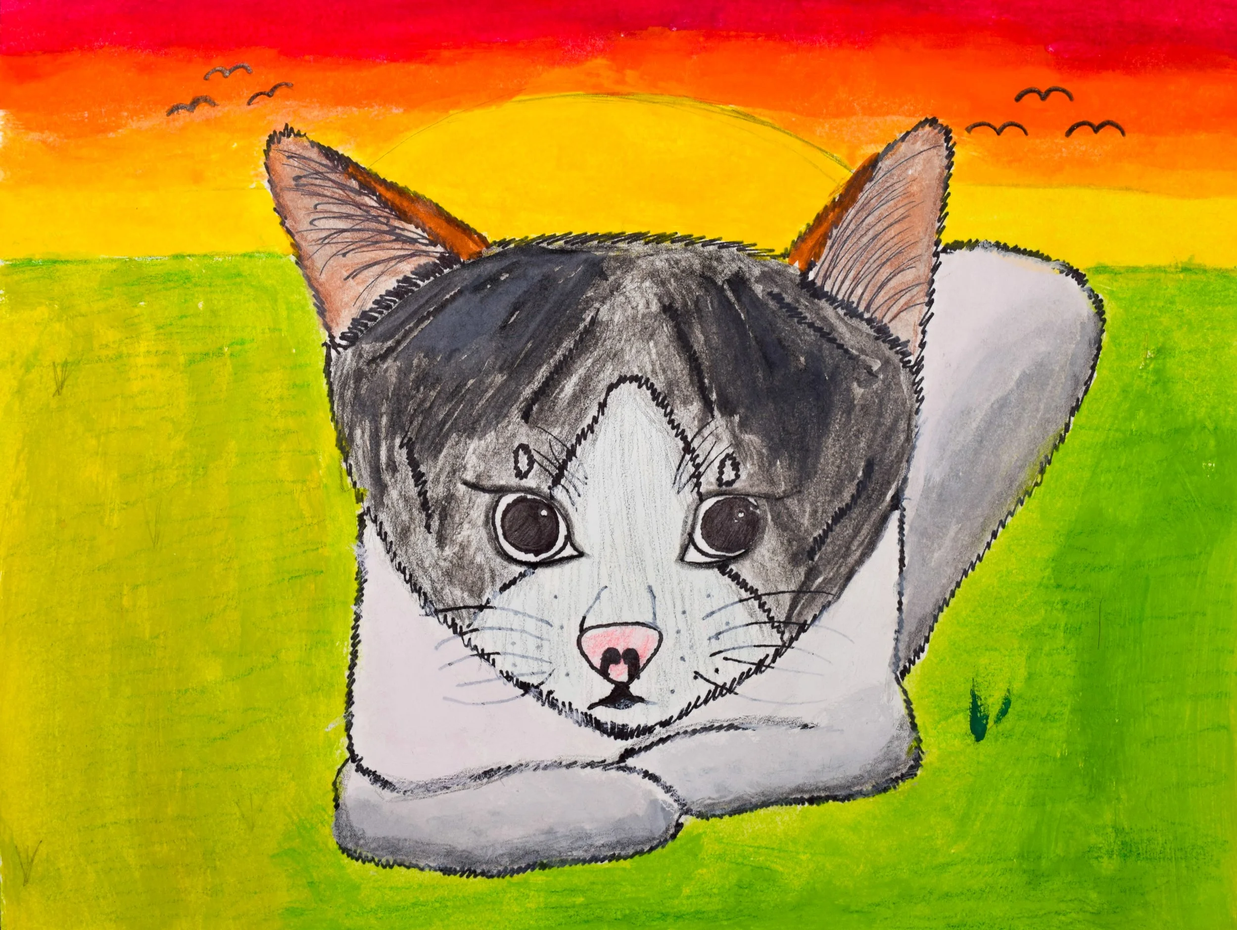 Harper S Widmayer-2.jpg