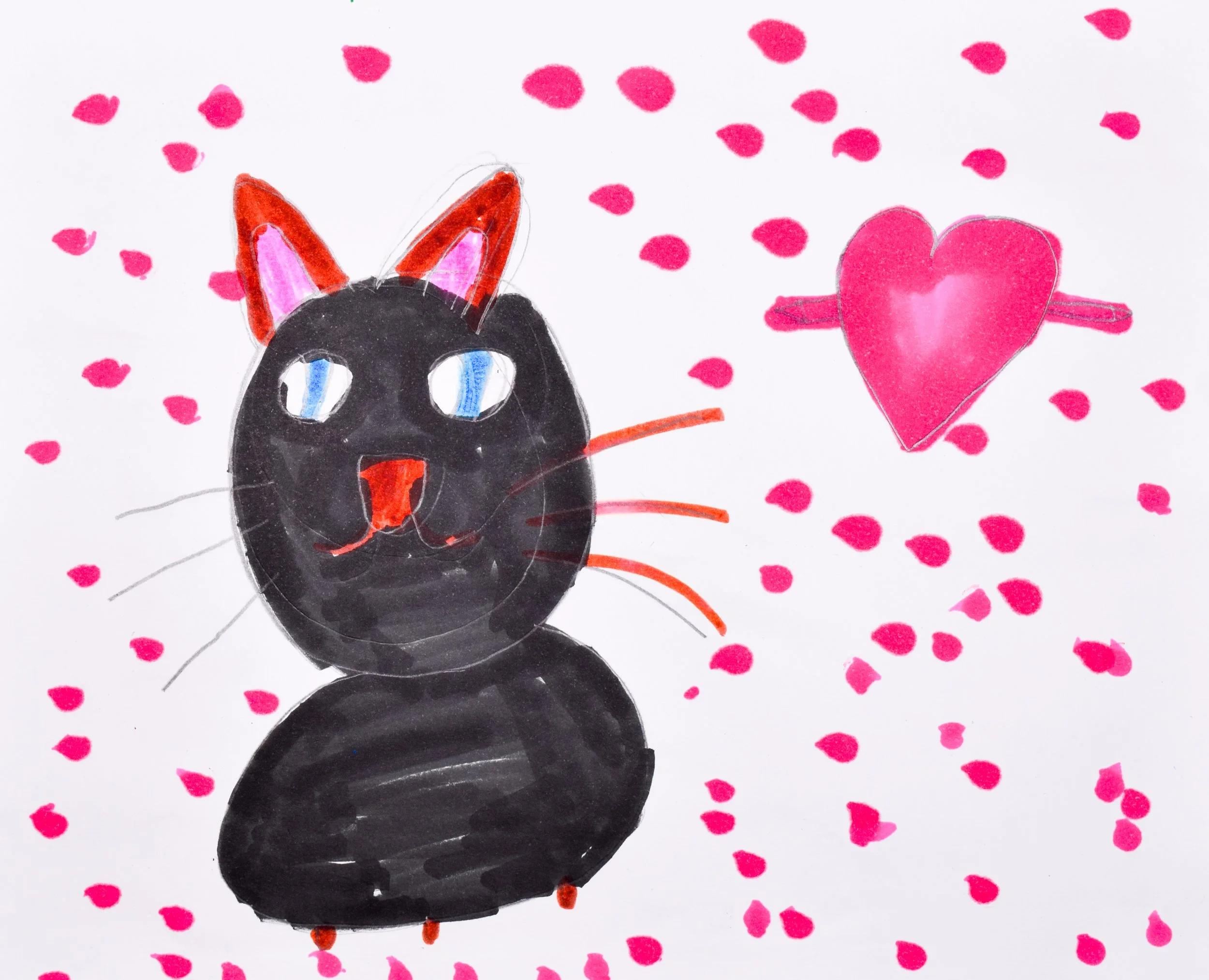 Aruba F 2 Nelson-Lewis, Pfaff-2.jpg