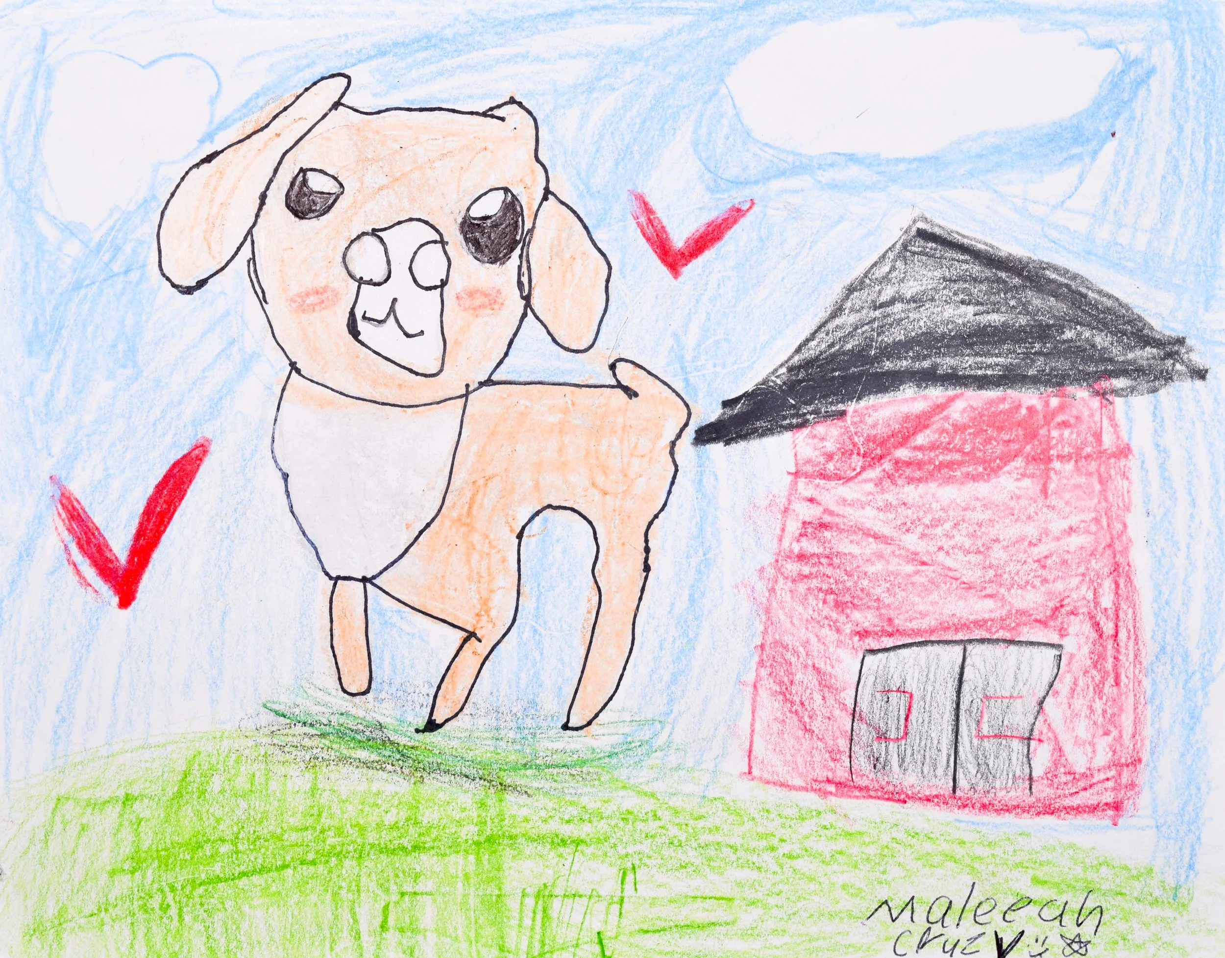 Maleeah C Windwer-Geppi-2.jpg