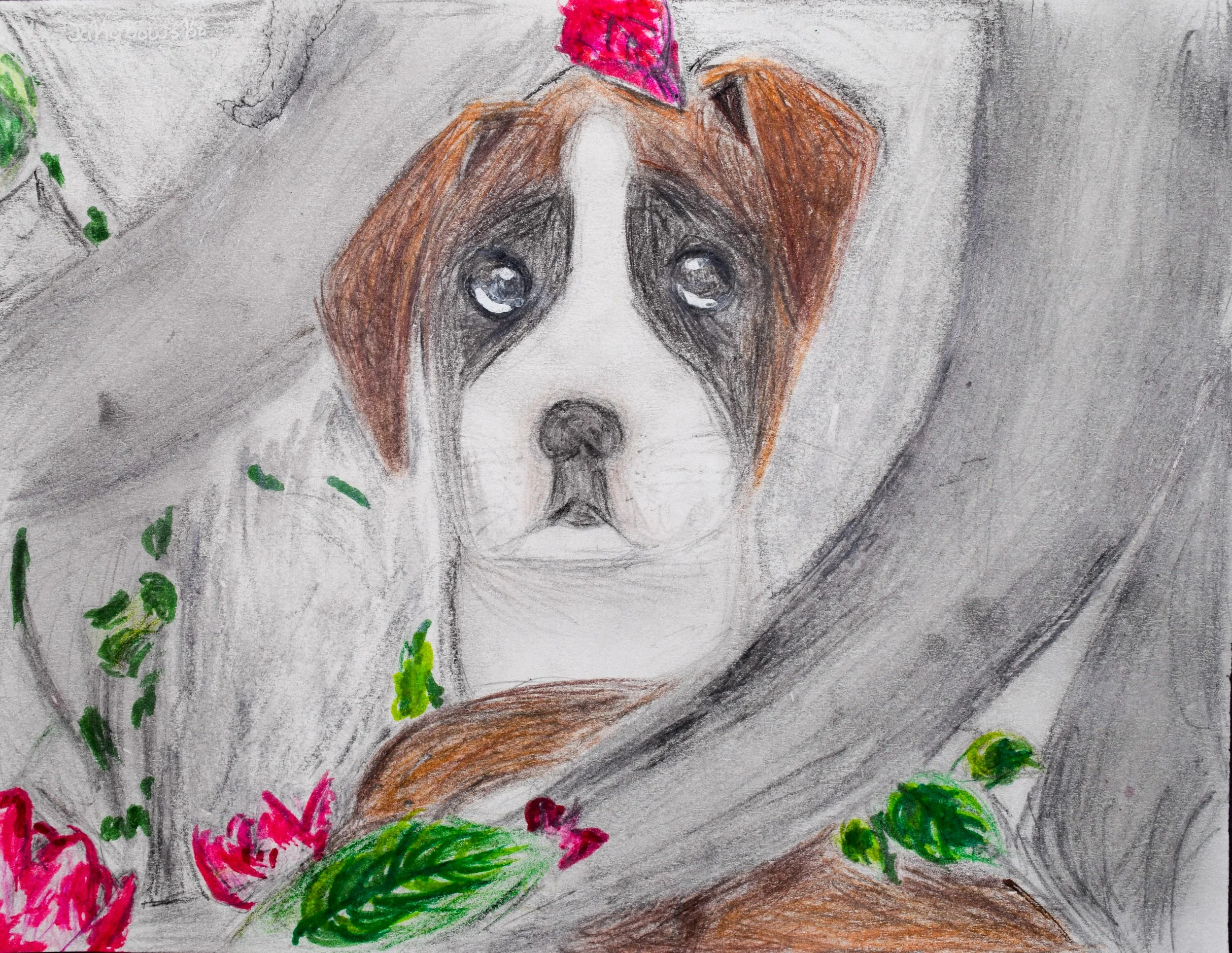 Liv J Momenzadeh-2.jpg