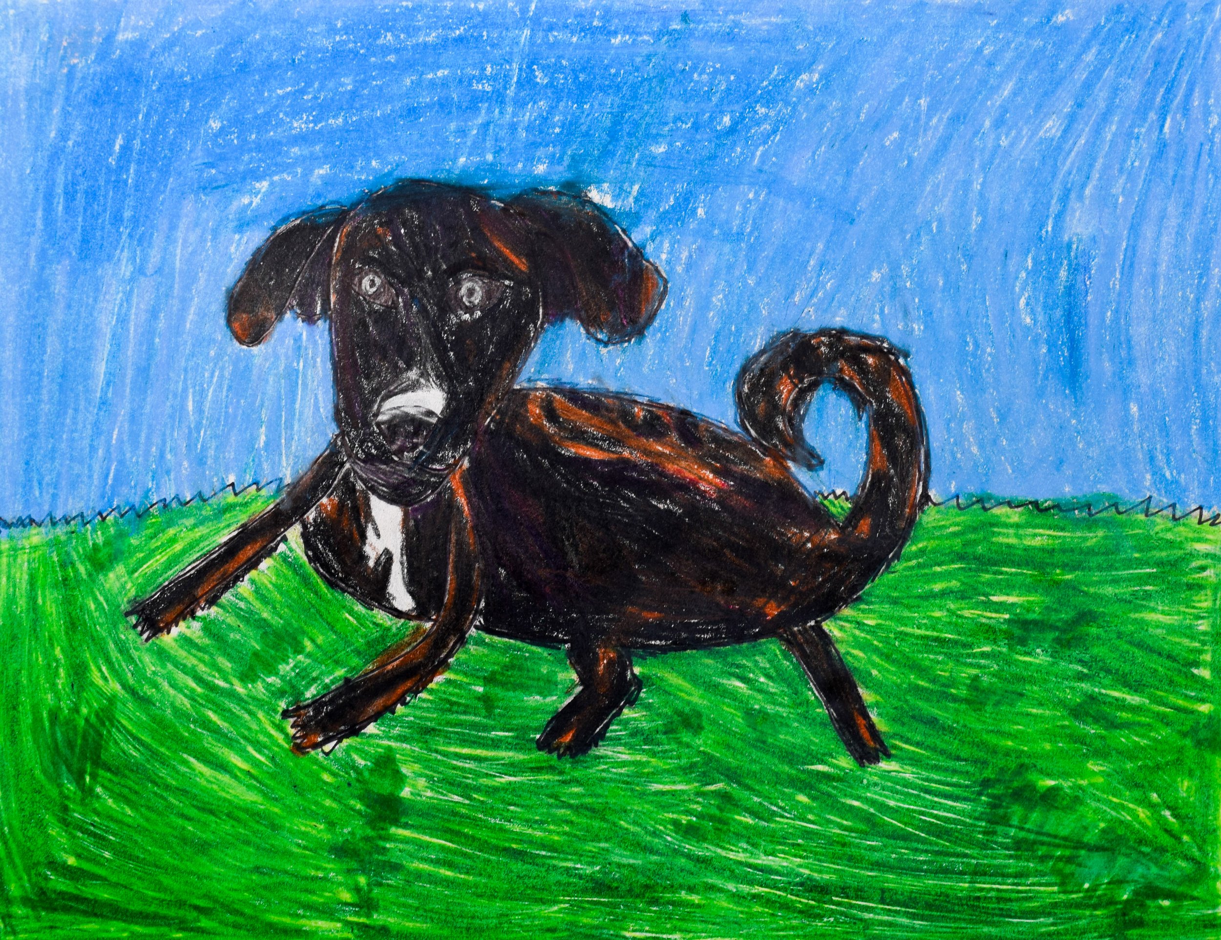 Heidi W Towner-2.jpg