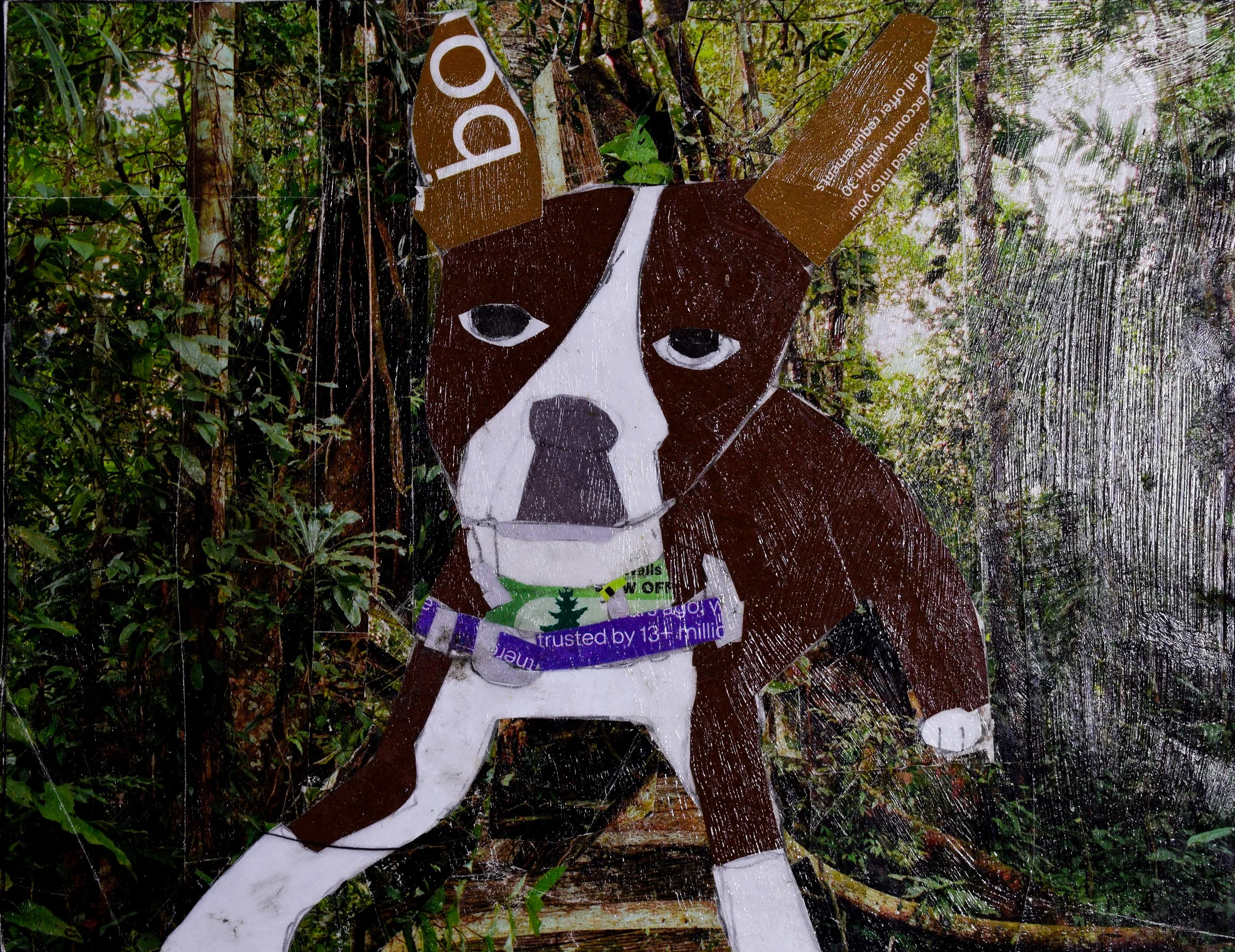 Pranesha A Schappel-2.jpg