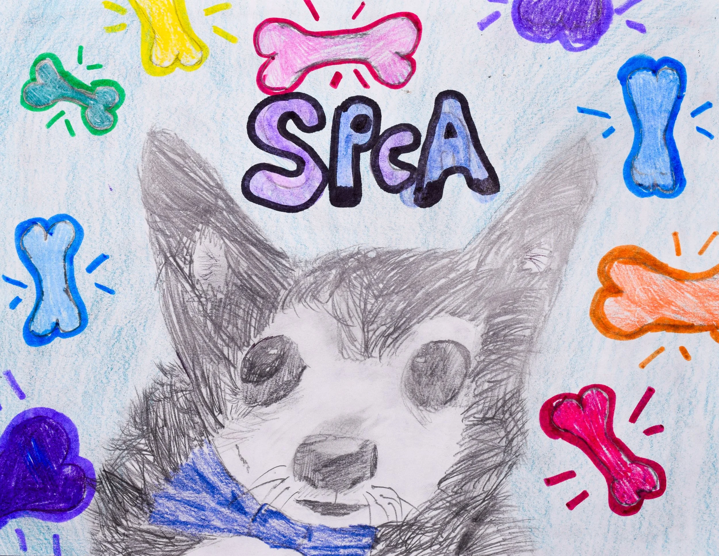 Hala A Simpson-2.jpg