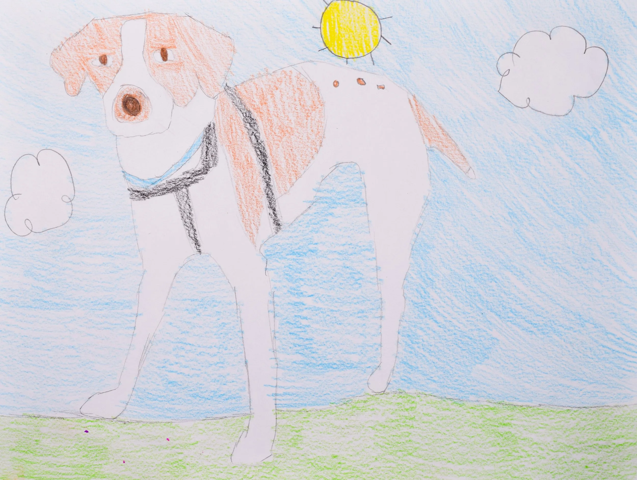 Linnea G Thompson-2.jpg