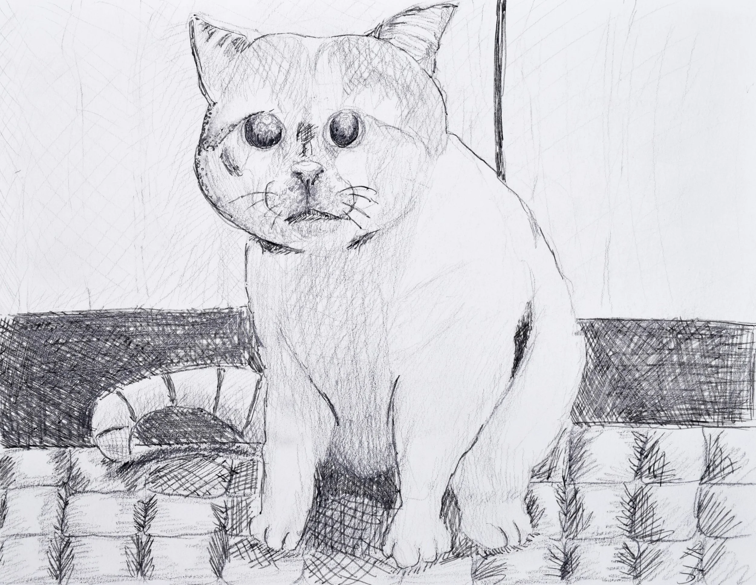 Jeziah S Price-2.jpg