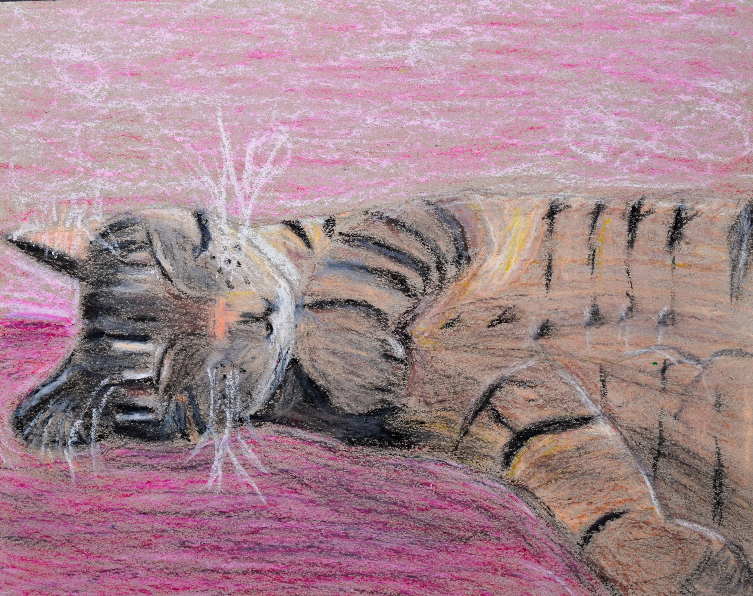 Madeleine D Jones-2.jpg