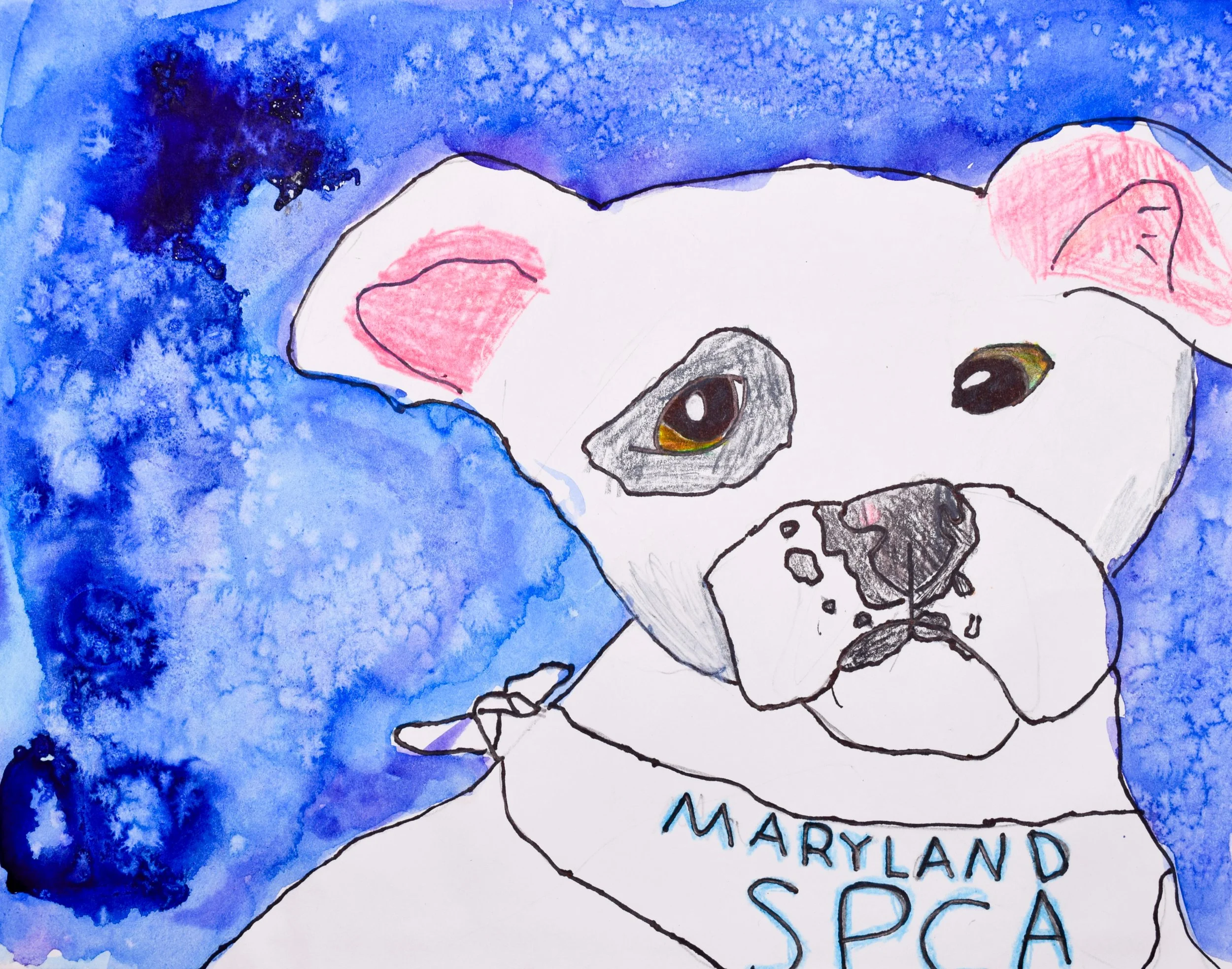 Ally F Hadaway-2.jpg