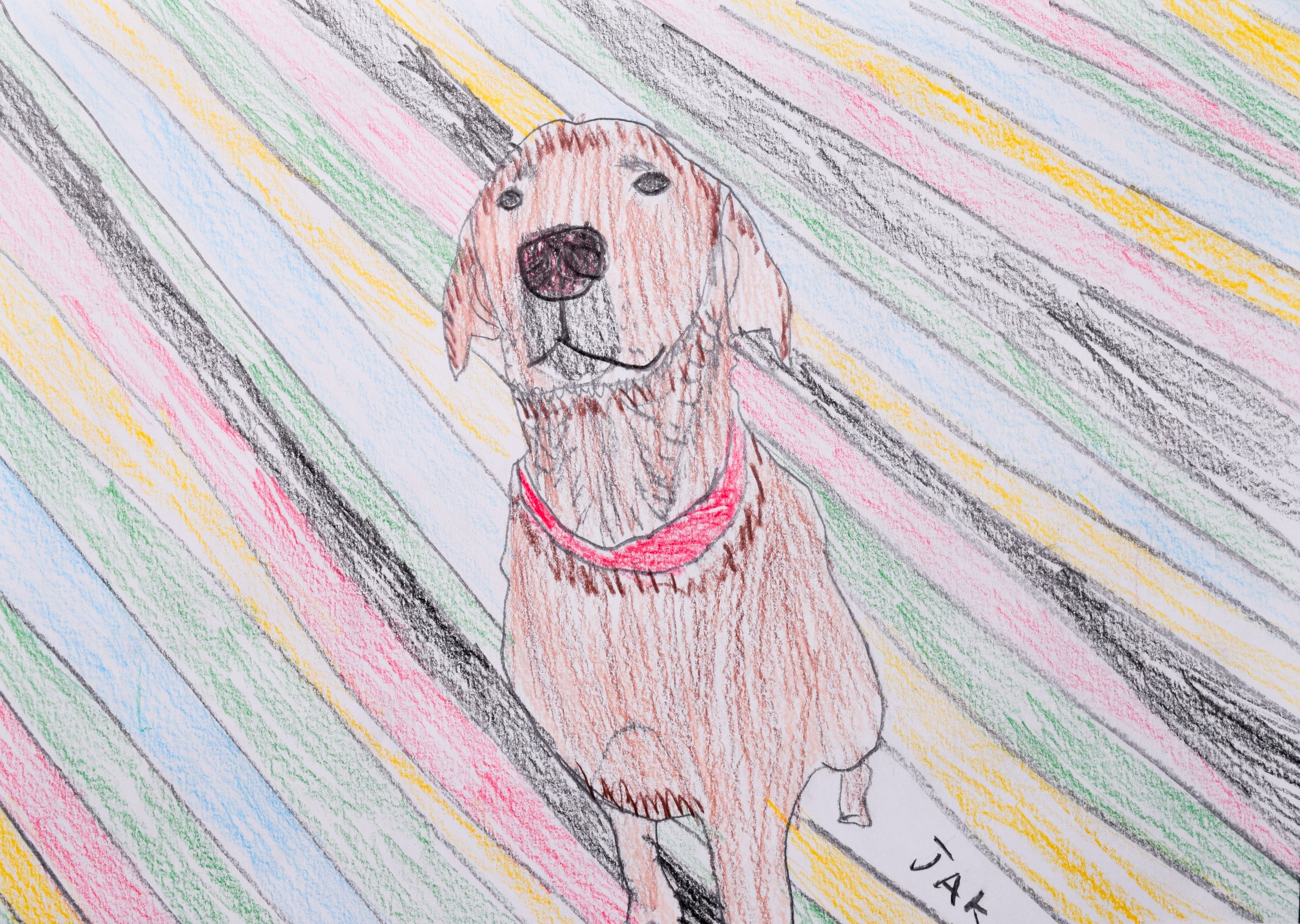 Jake T Liberto-2.jpg