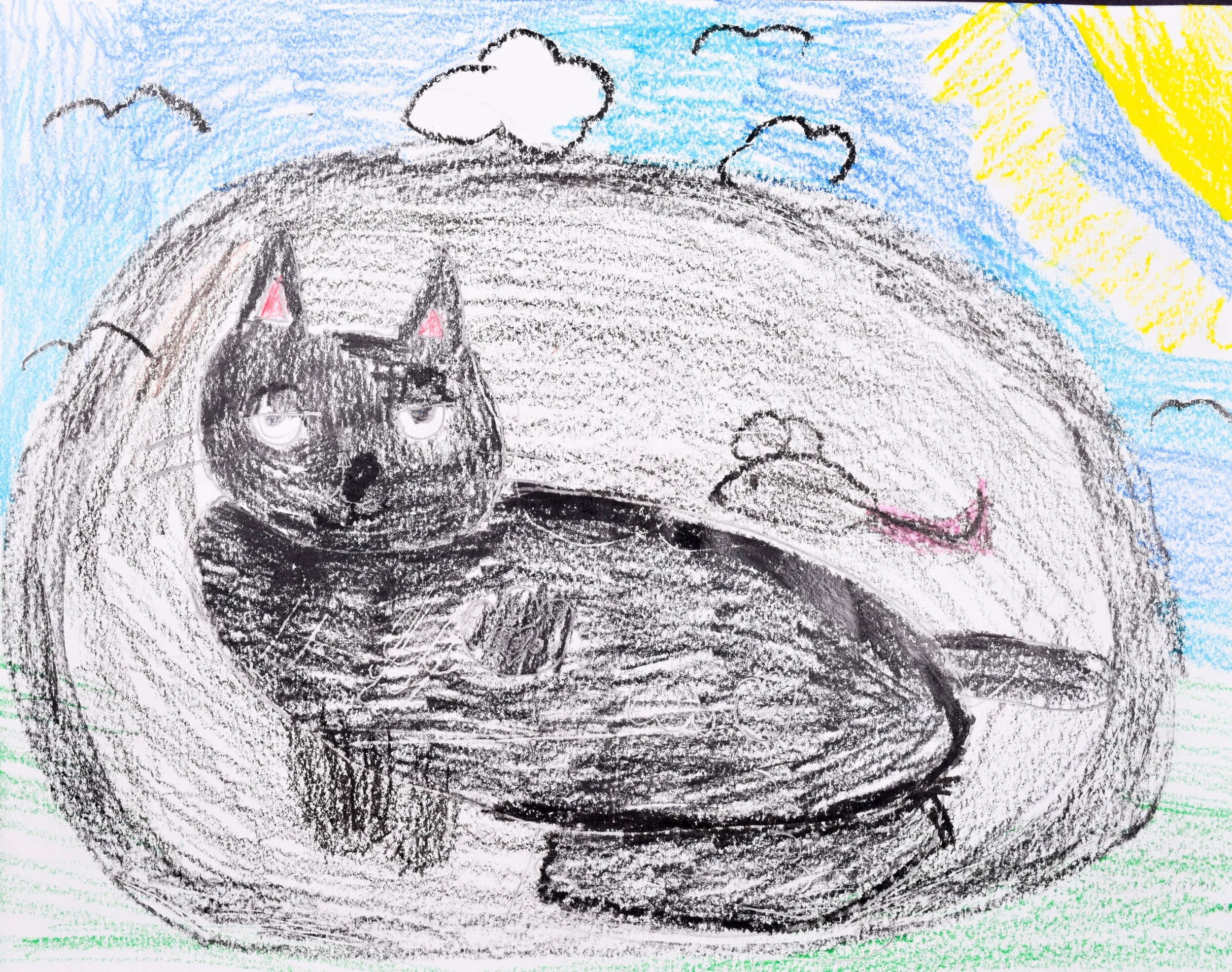 Ayesha A Nelson-Lewis, Pfaff-2.jpg