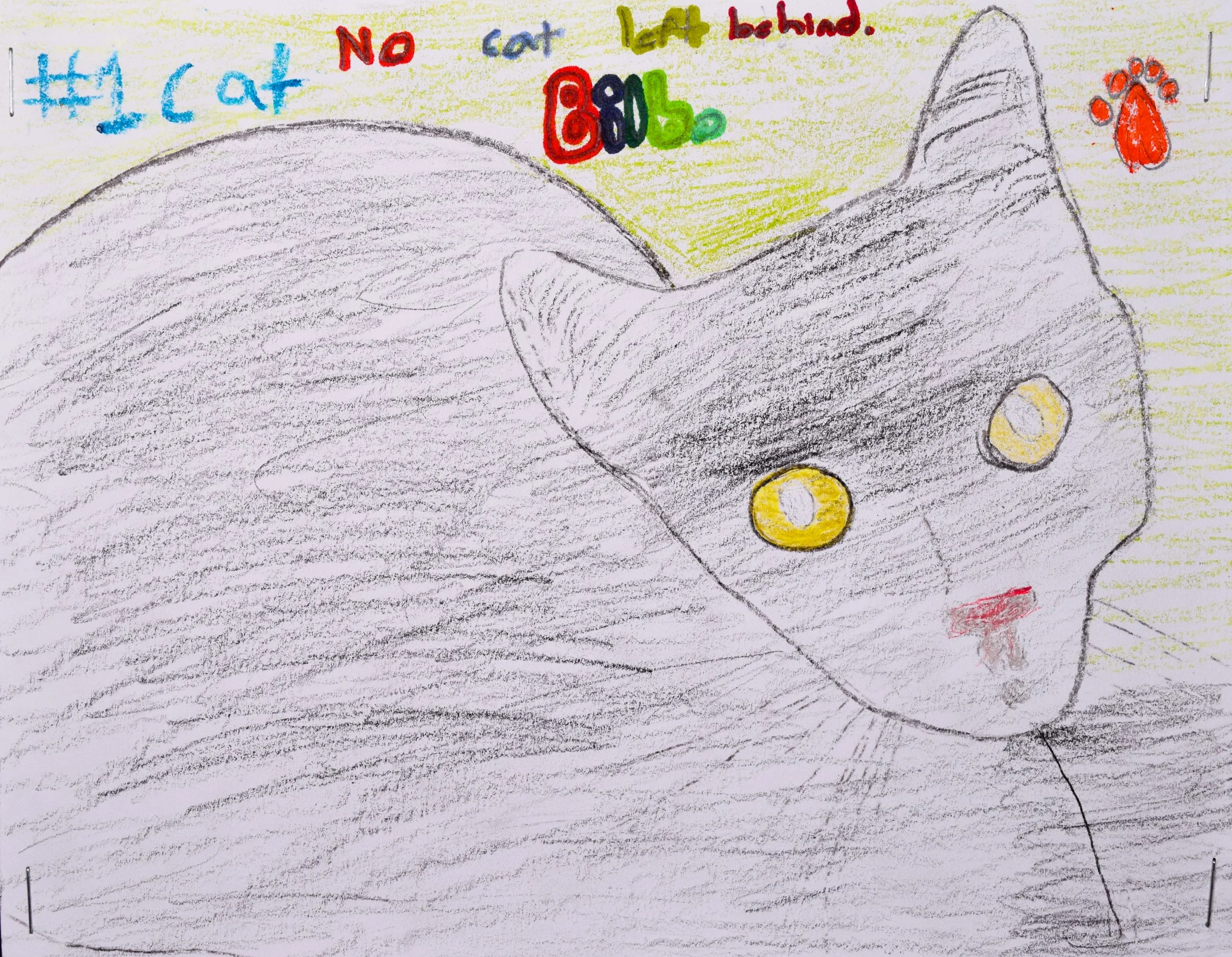 Alex H Robertson-2.jpg