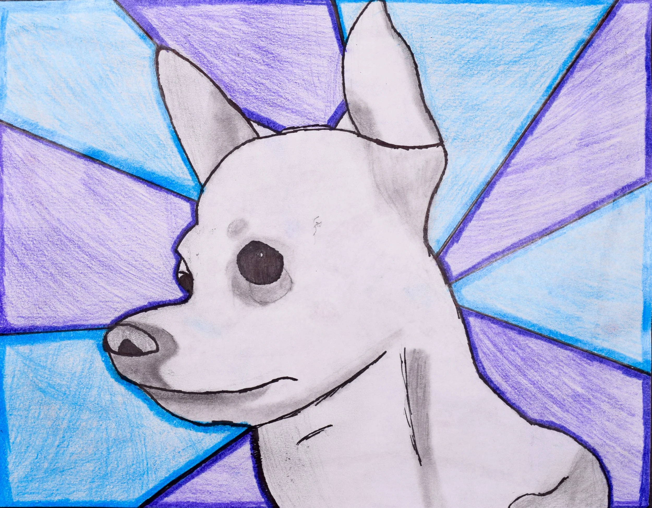 Shreesha K Simpson-2.jpg