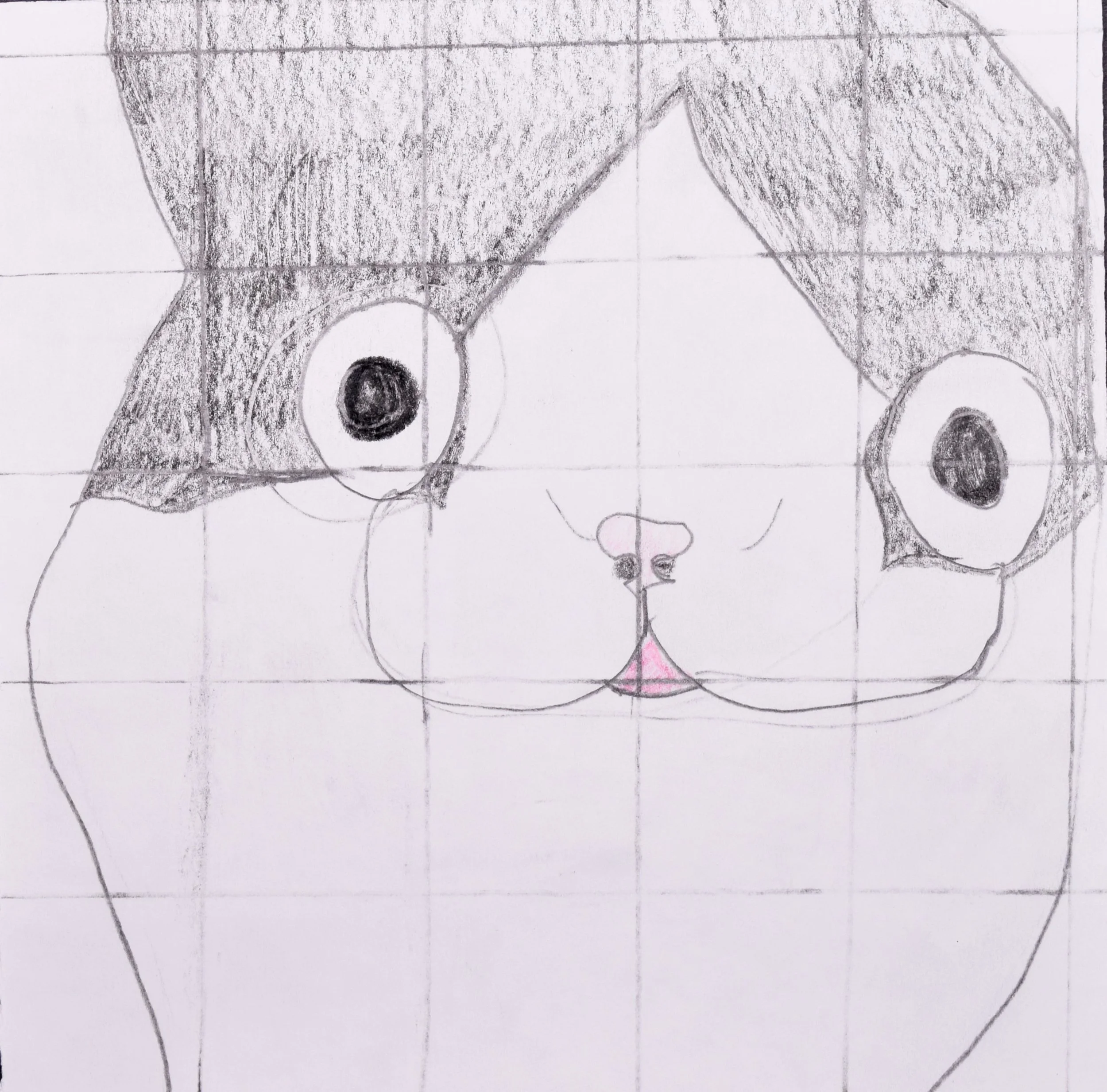 Hayvin H Dowell, Nehus-2.jpg