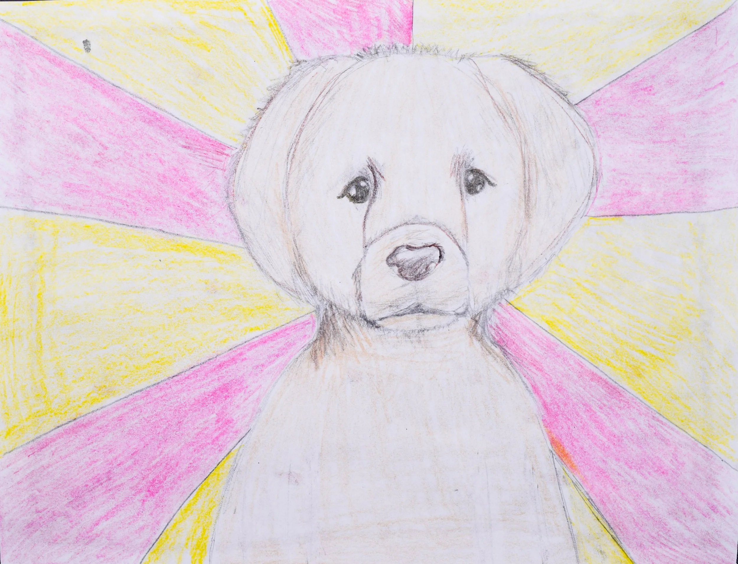 Namrata S Simpson-2.jpg