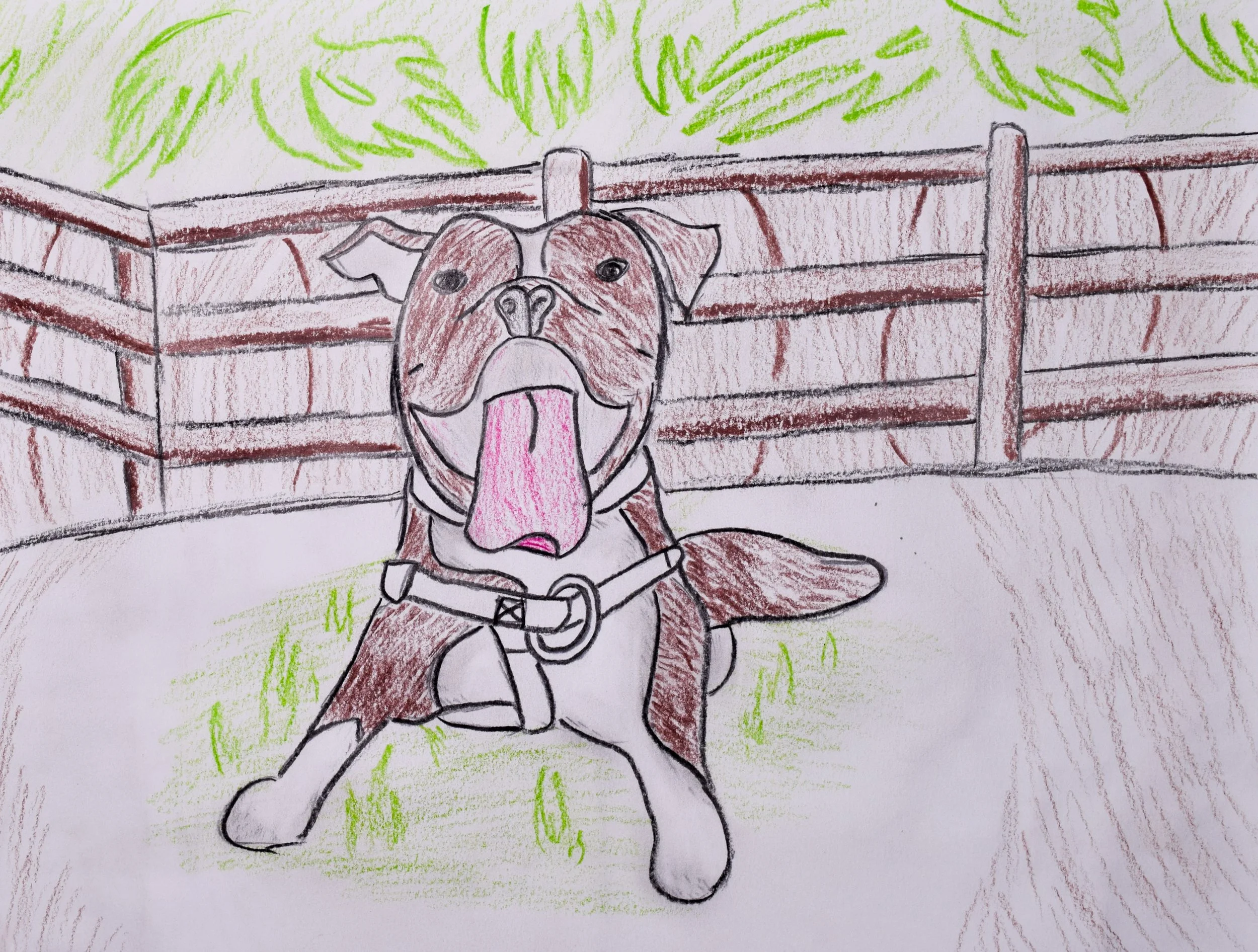 Conner T Graham-2.jpg