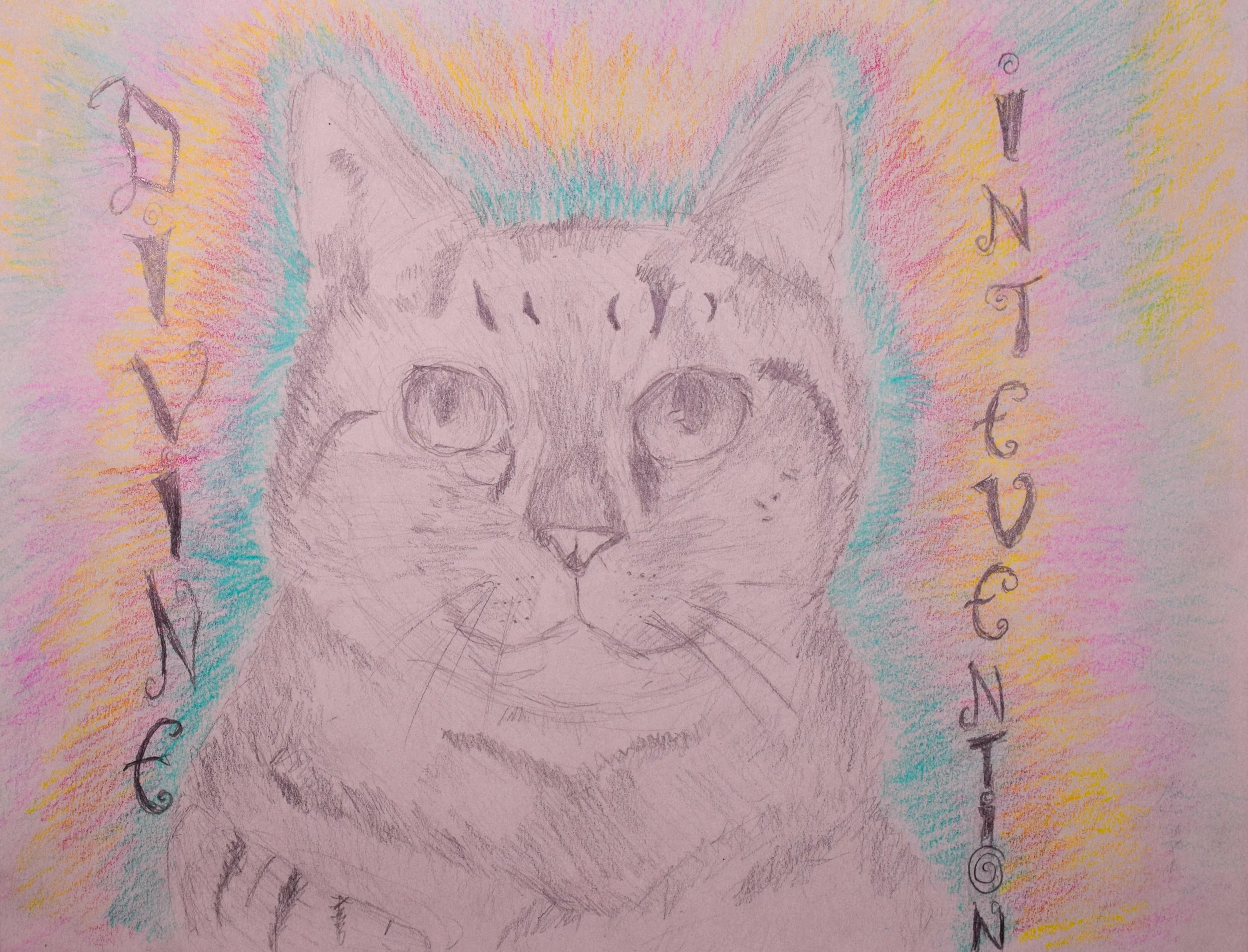 Annabella N Grace-2.jpg