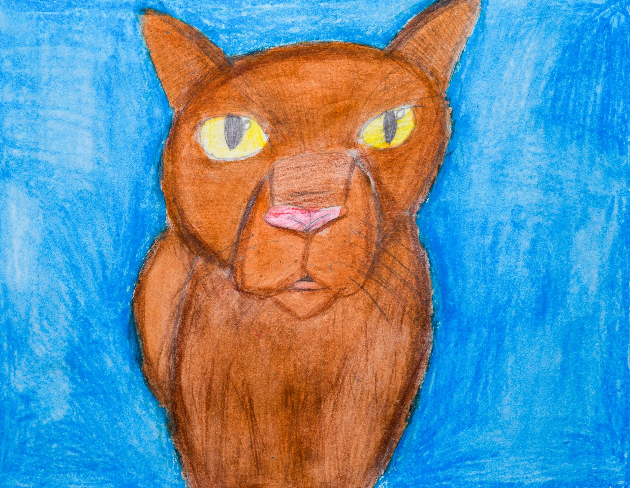 Vivian Y Momenzadeh-2.jpg