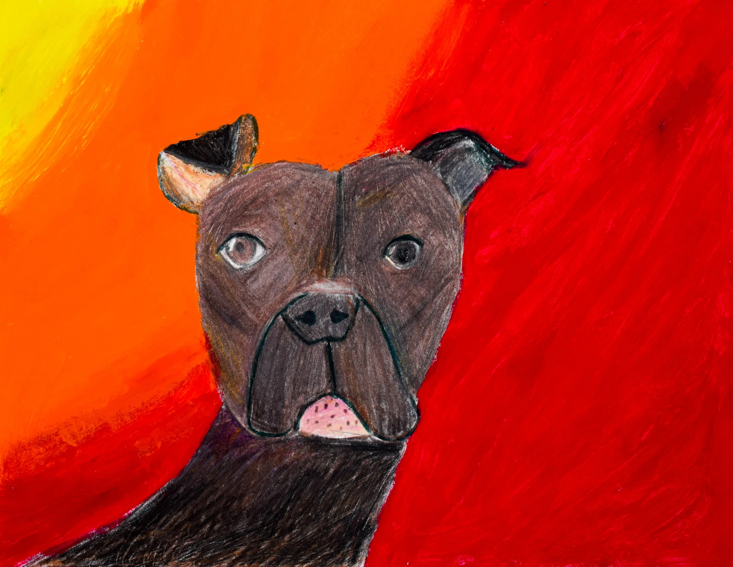 Jane H Momenzadeh-2.jpg