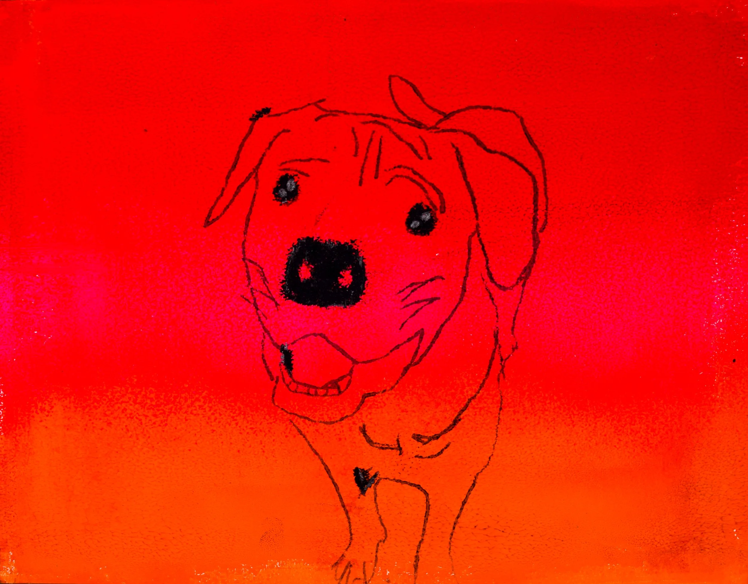 Pheobe M Paszkiewicz-2.jpg