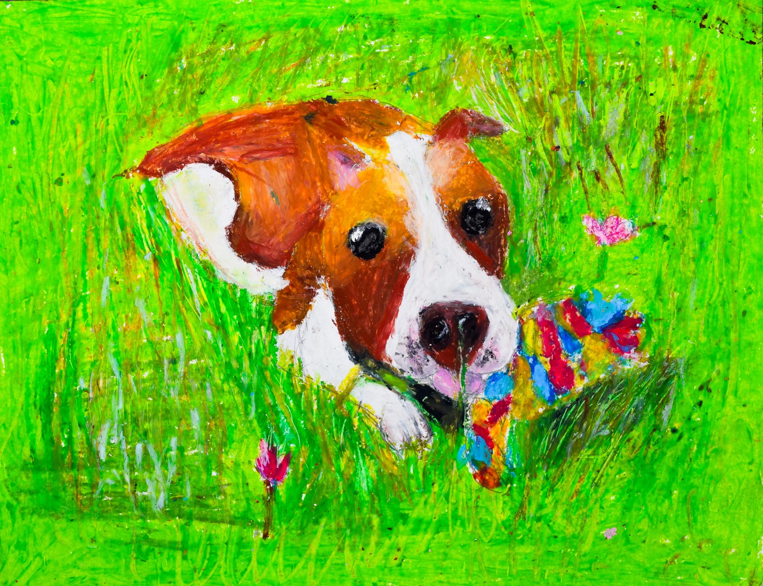 Grace M Citrano-2.jpg