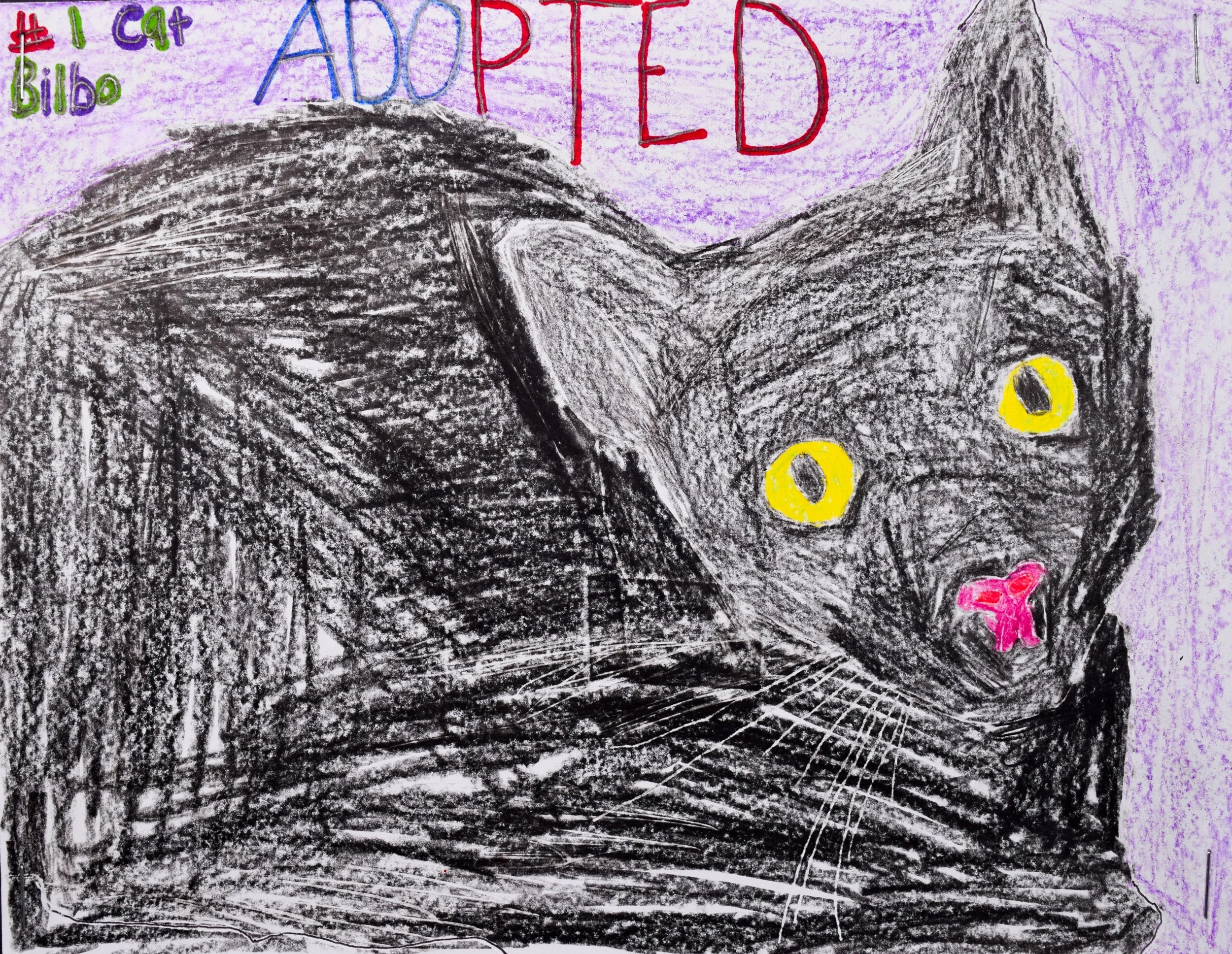 Daniel E Robertson-2.jpg