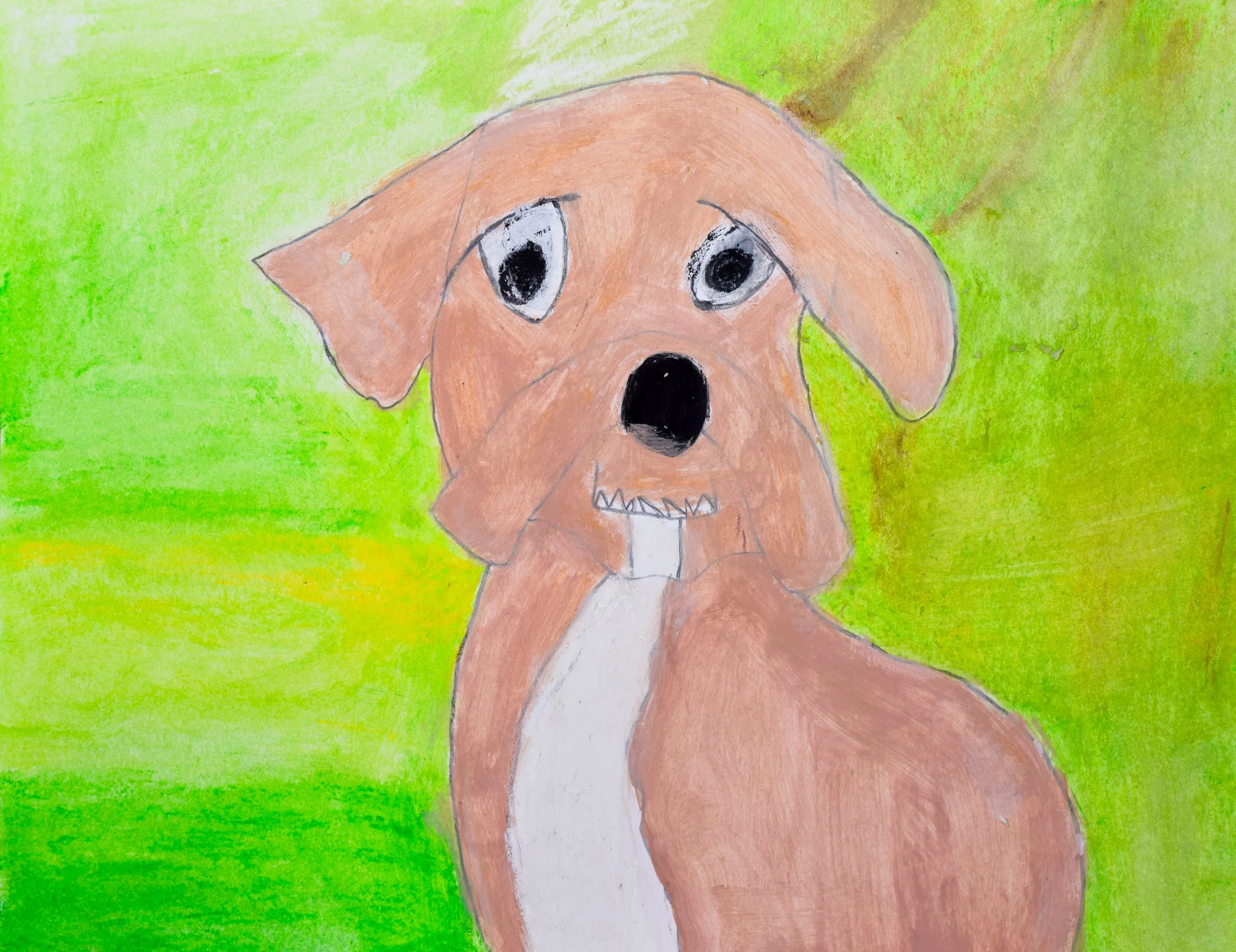 McKenzie D Momenzadeh-2.jpg