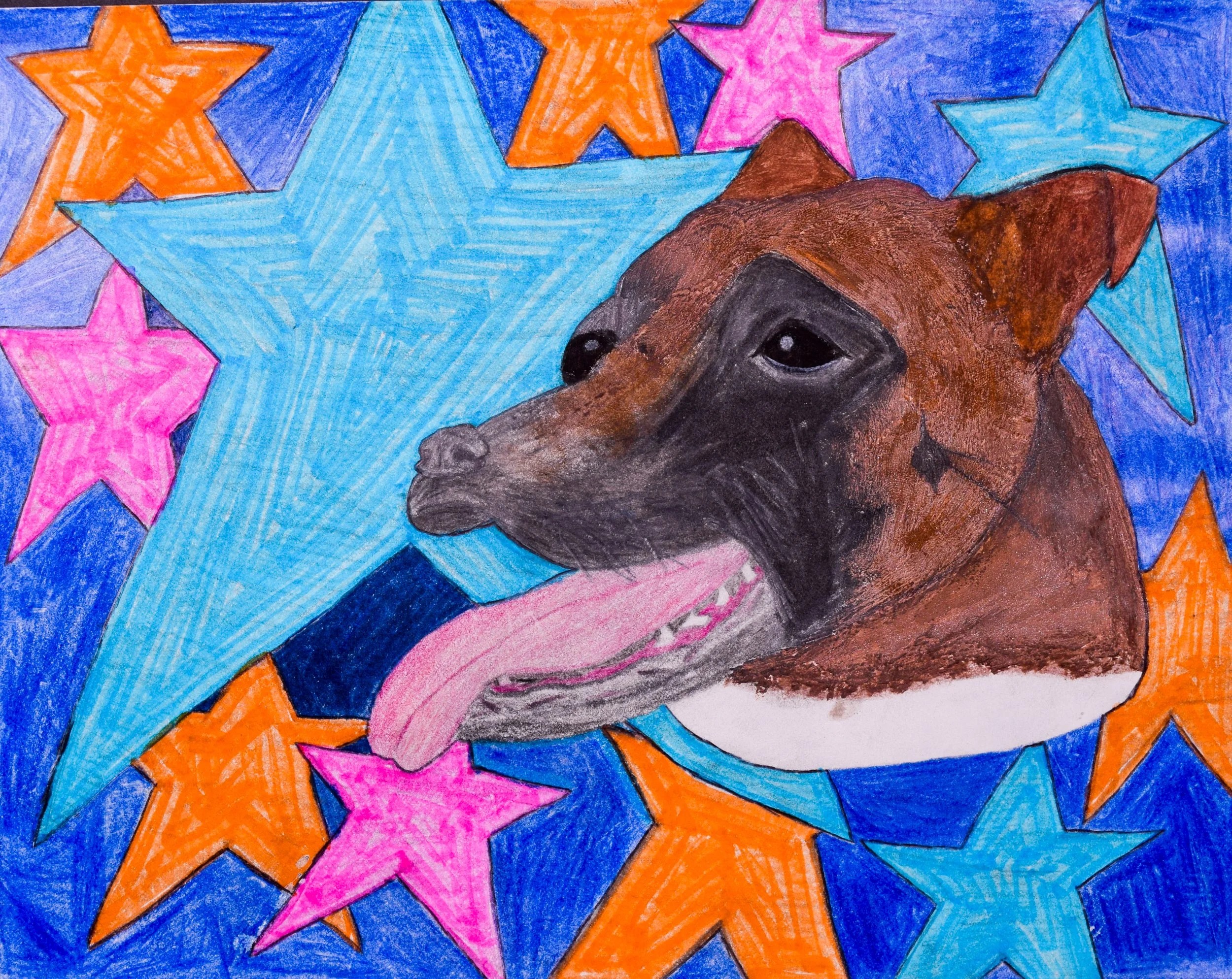 Siena M Momenzadeh-2.jpg