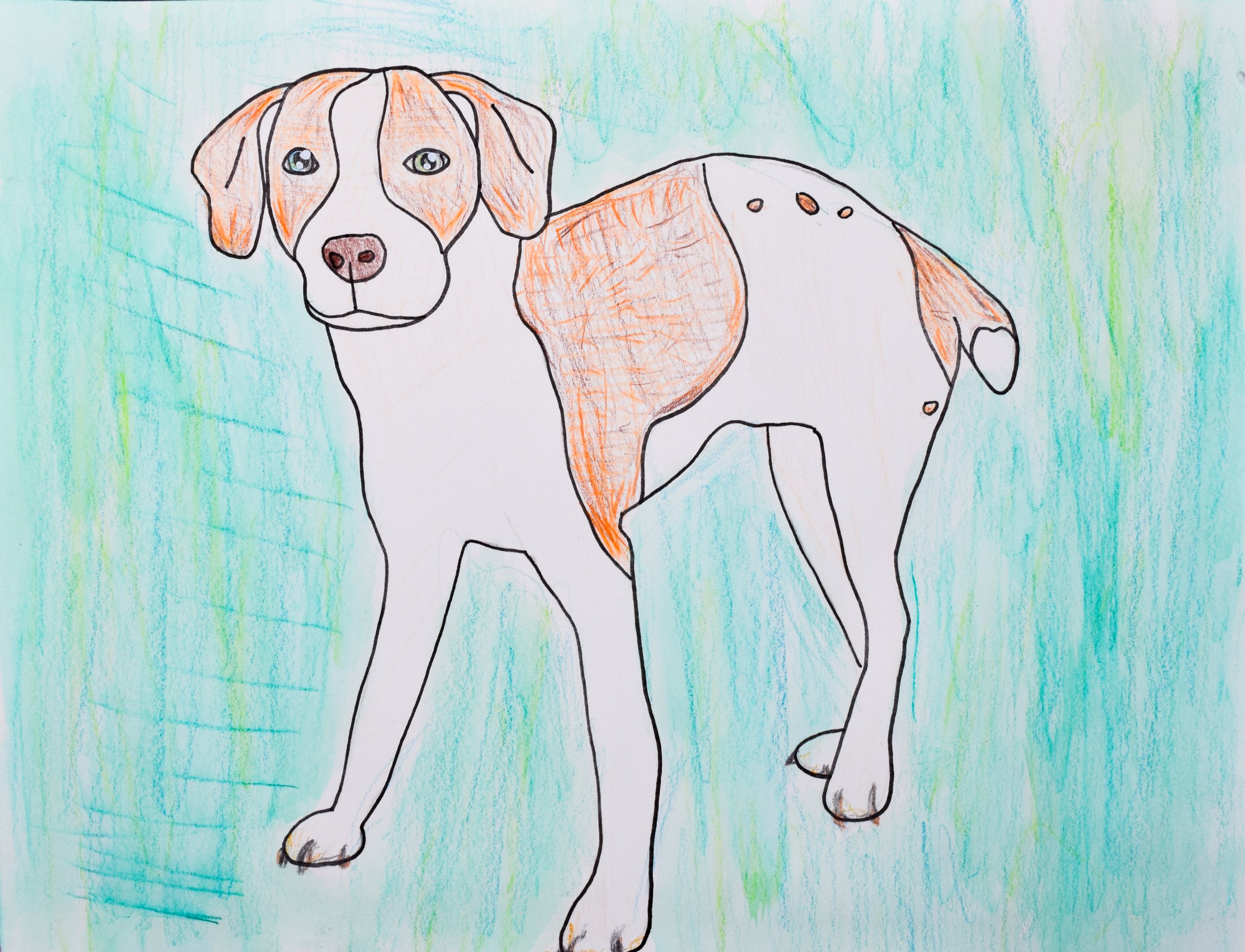 Martina D Leonard-2.jpg