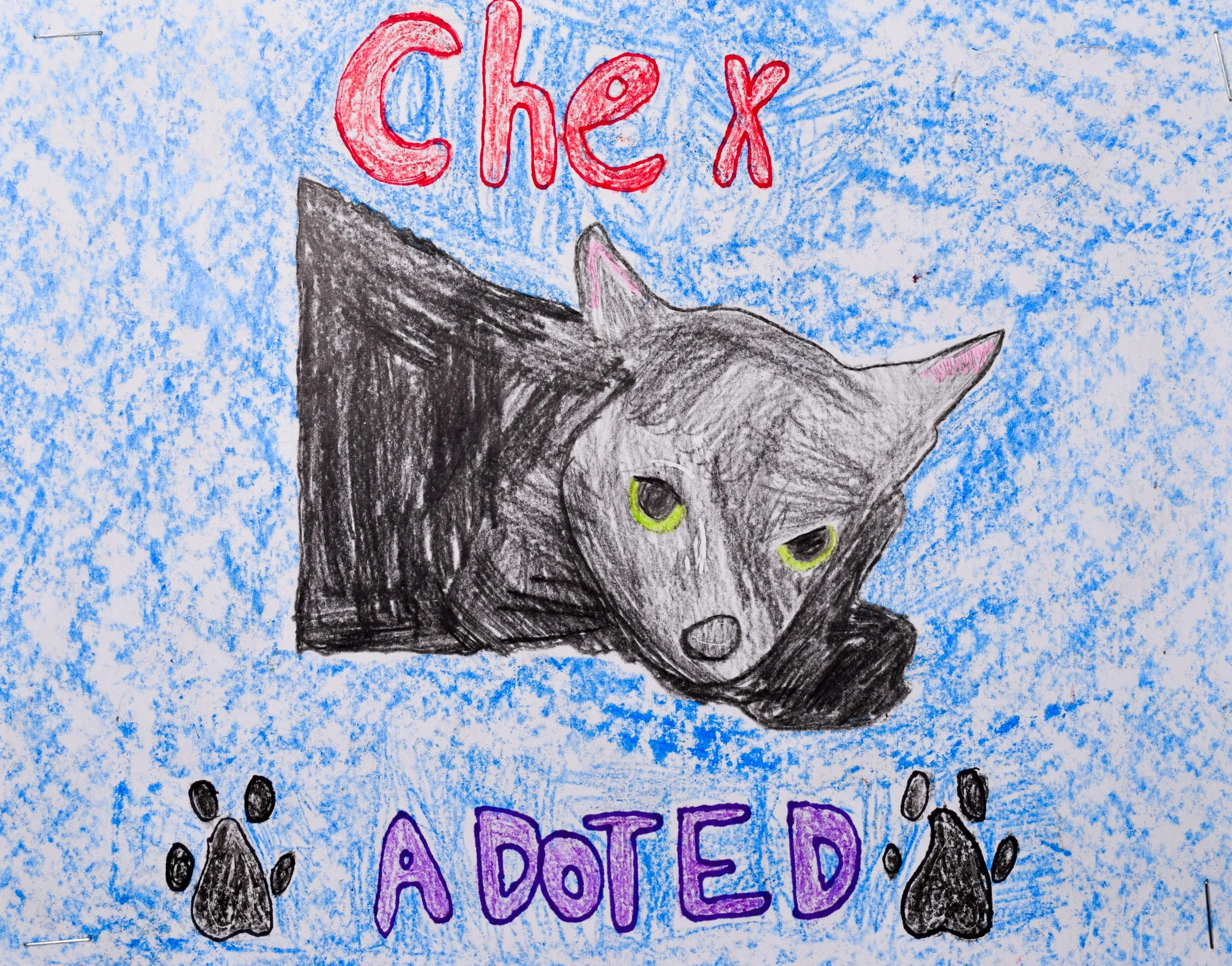 Jolene B Robertson-2.jpg