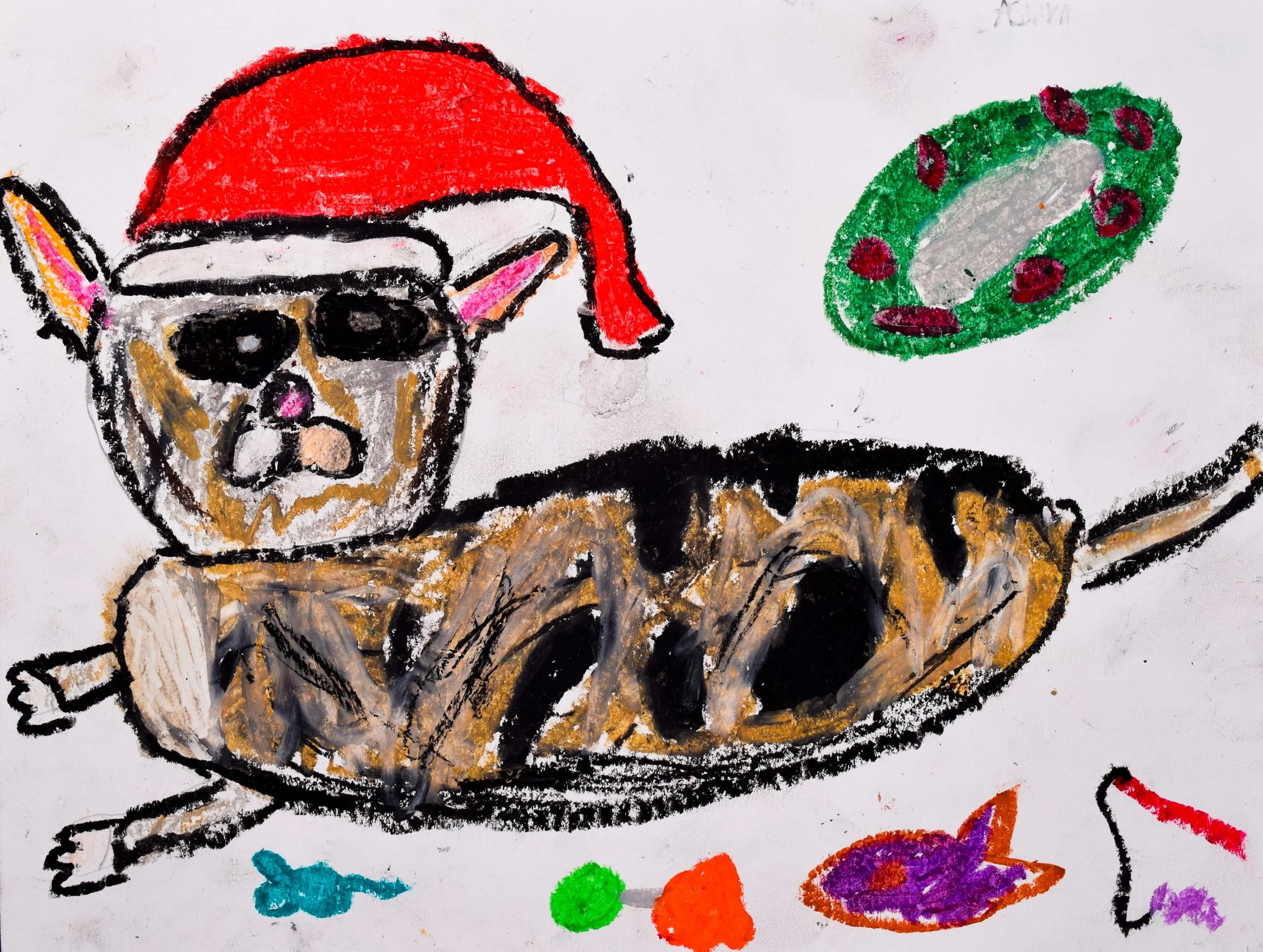 Ashlynn Q Boyle-2.jpg