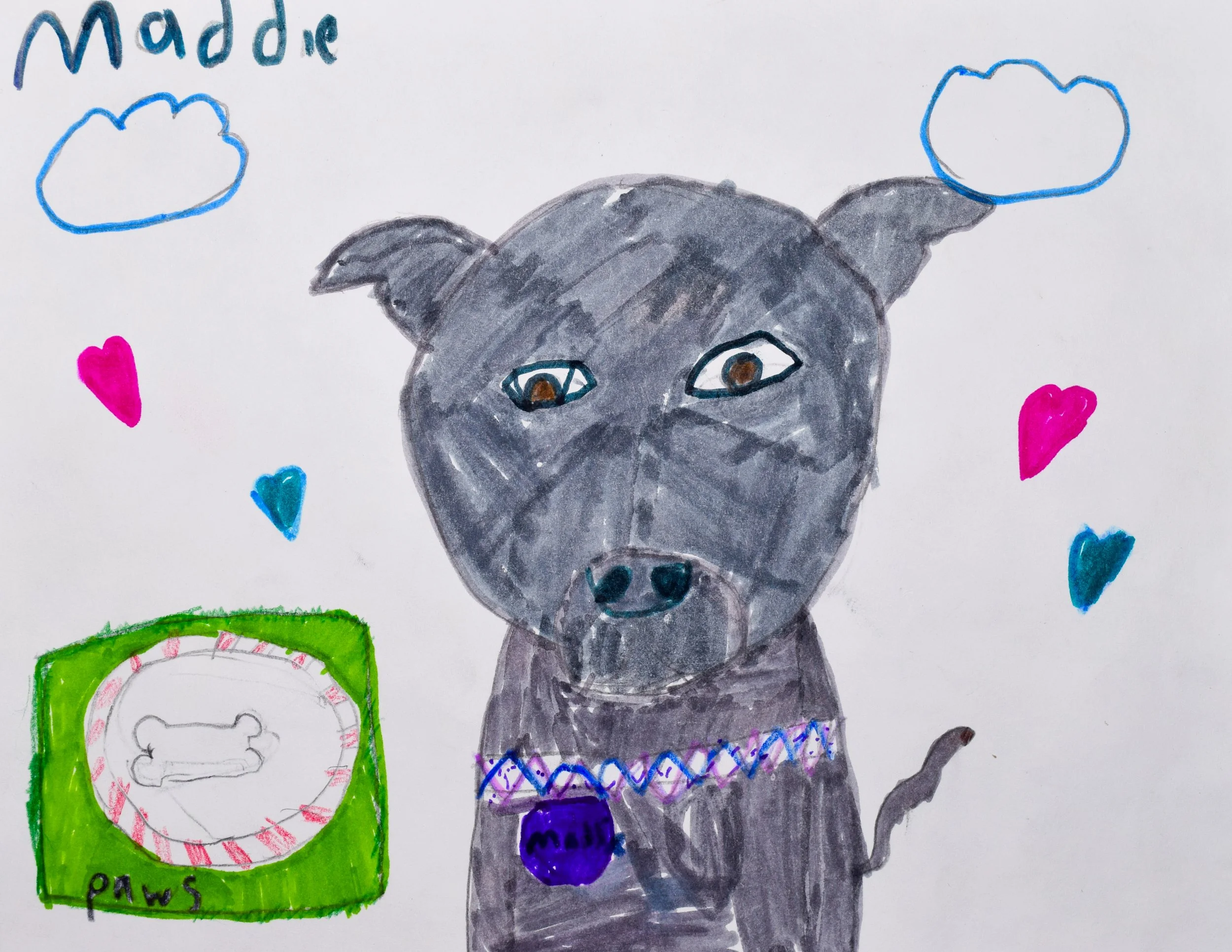 Carly B Seyler-2.jpg